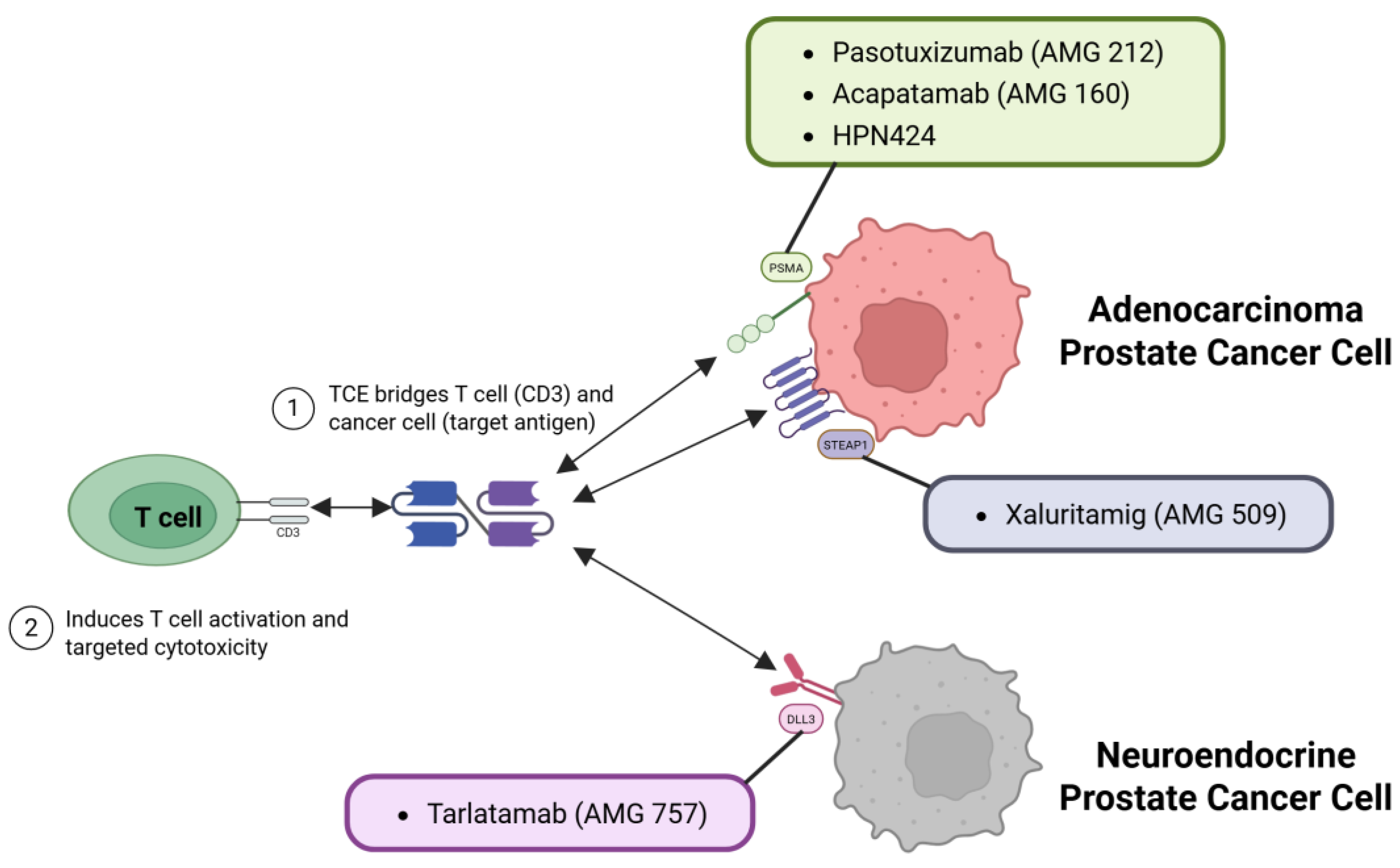 Preprints 159620 g003