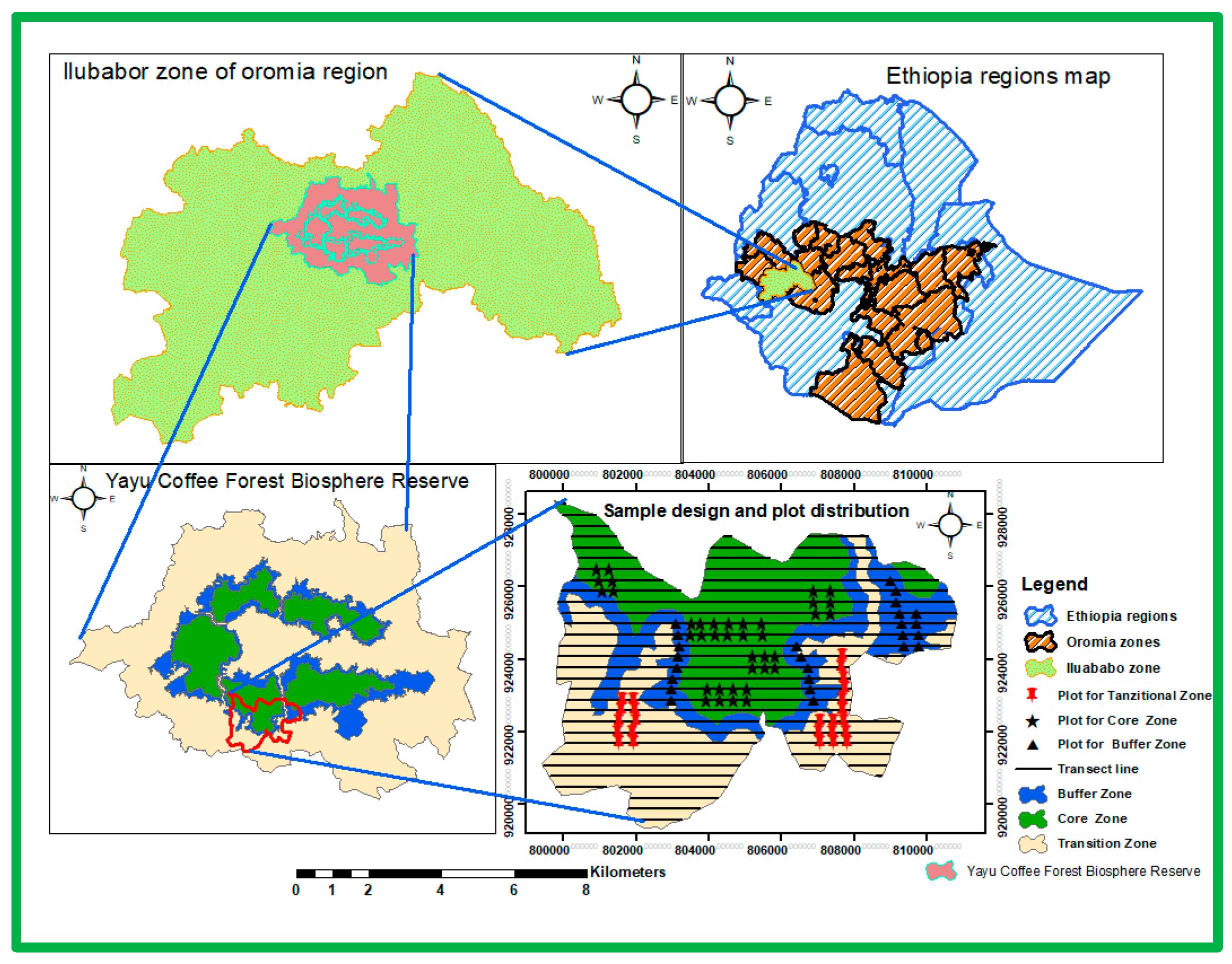 Preprints 153935 g001