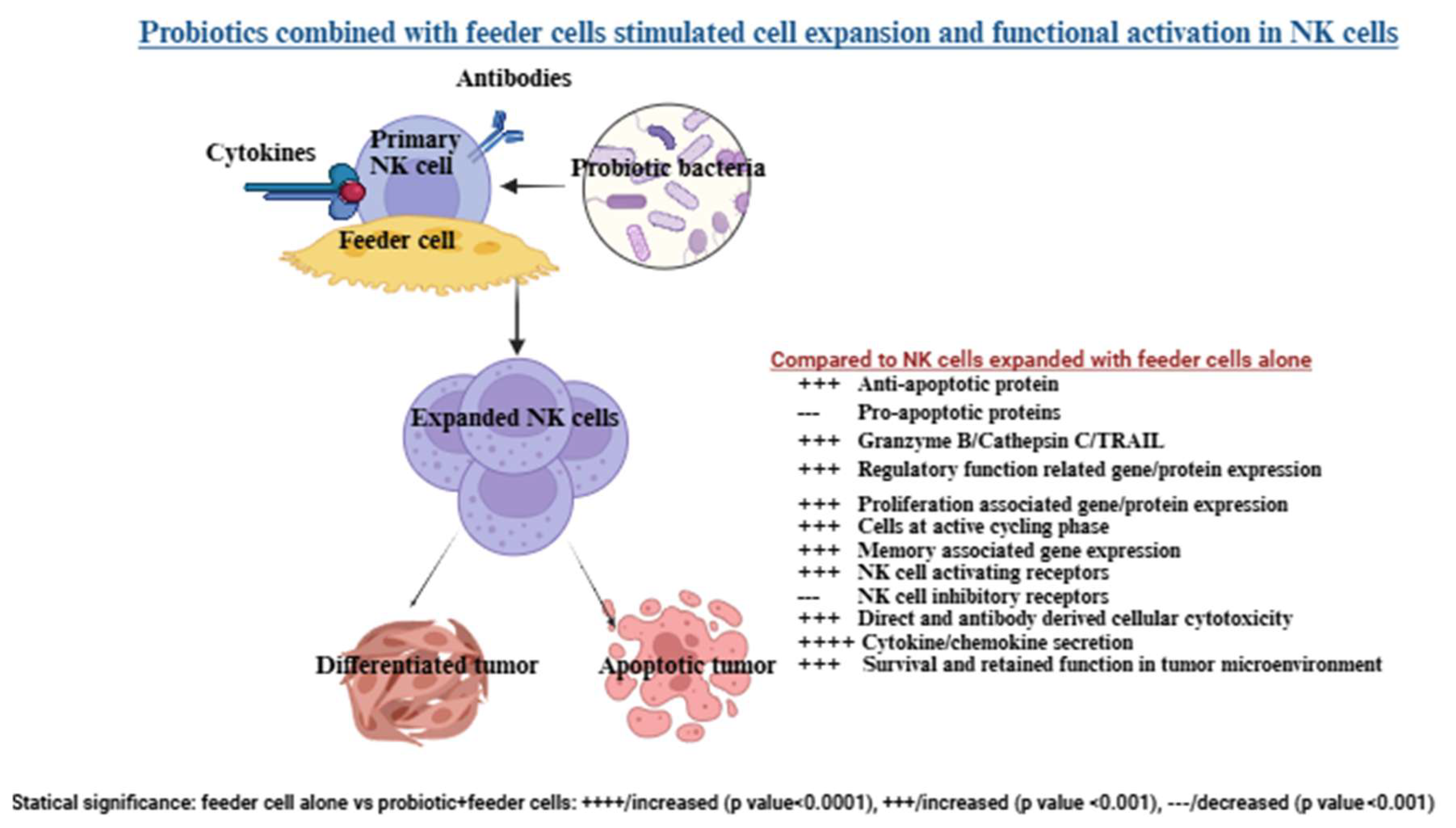 Preprints 181372 g002