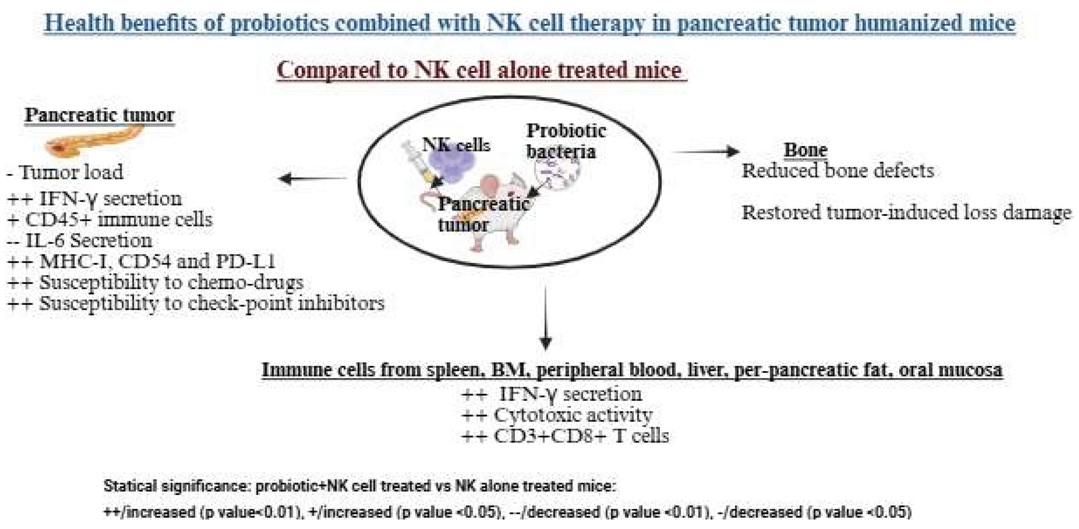 Preprints 181372 g003