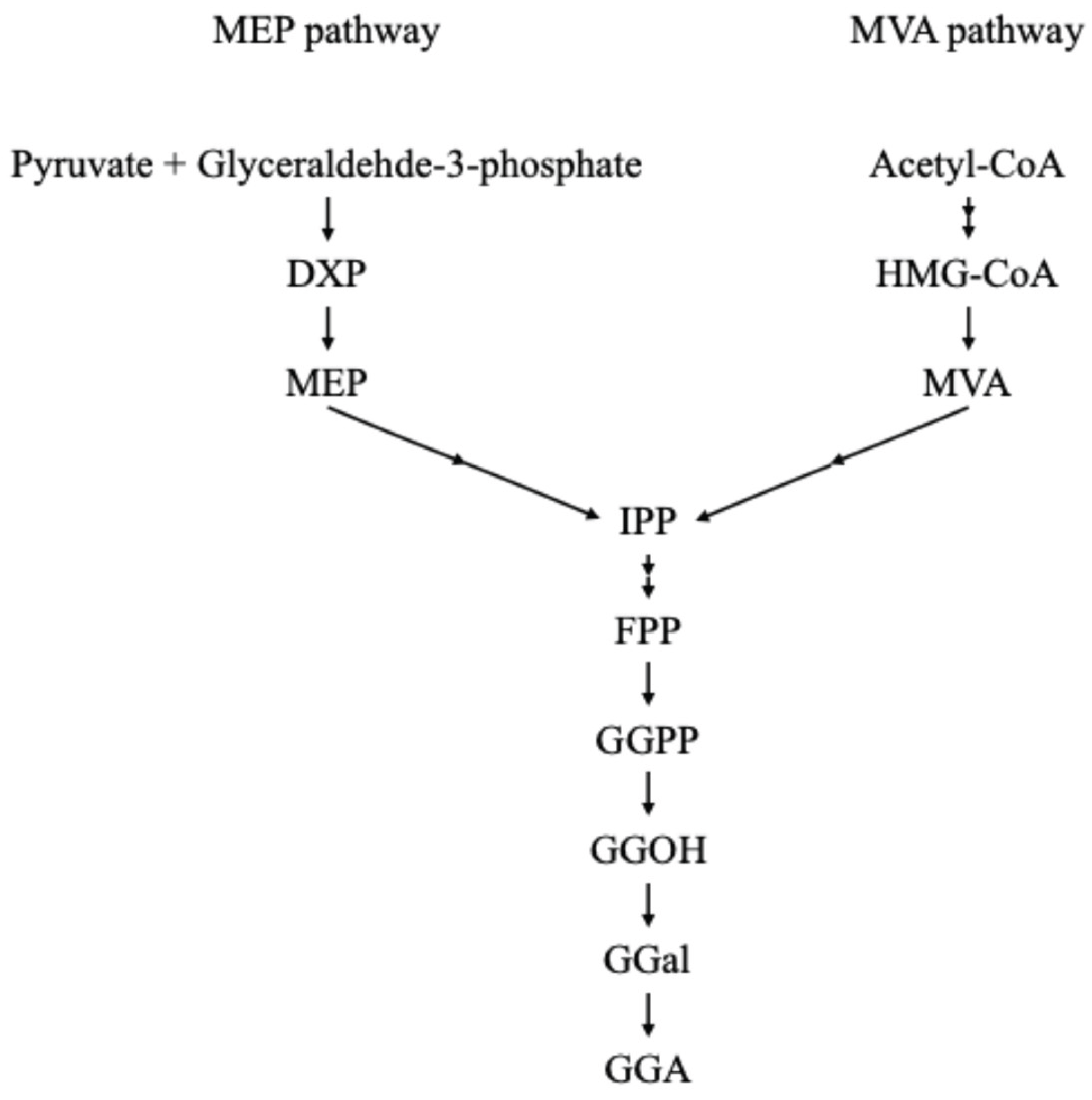 Preprints 167048 g002