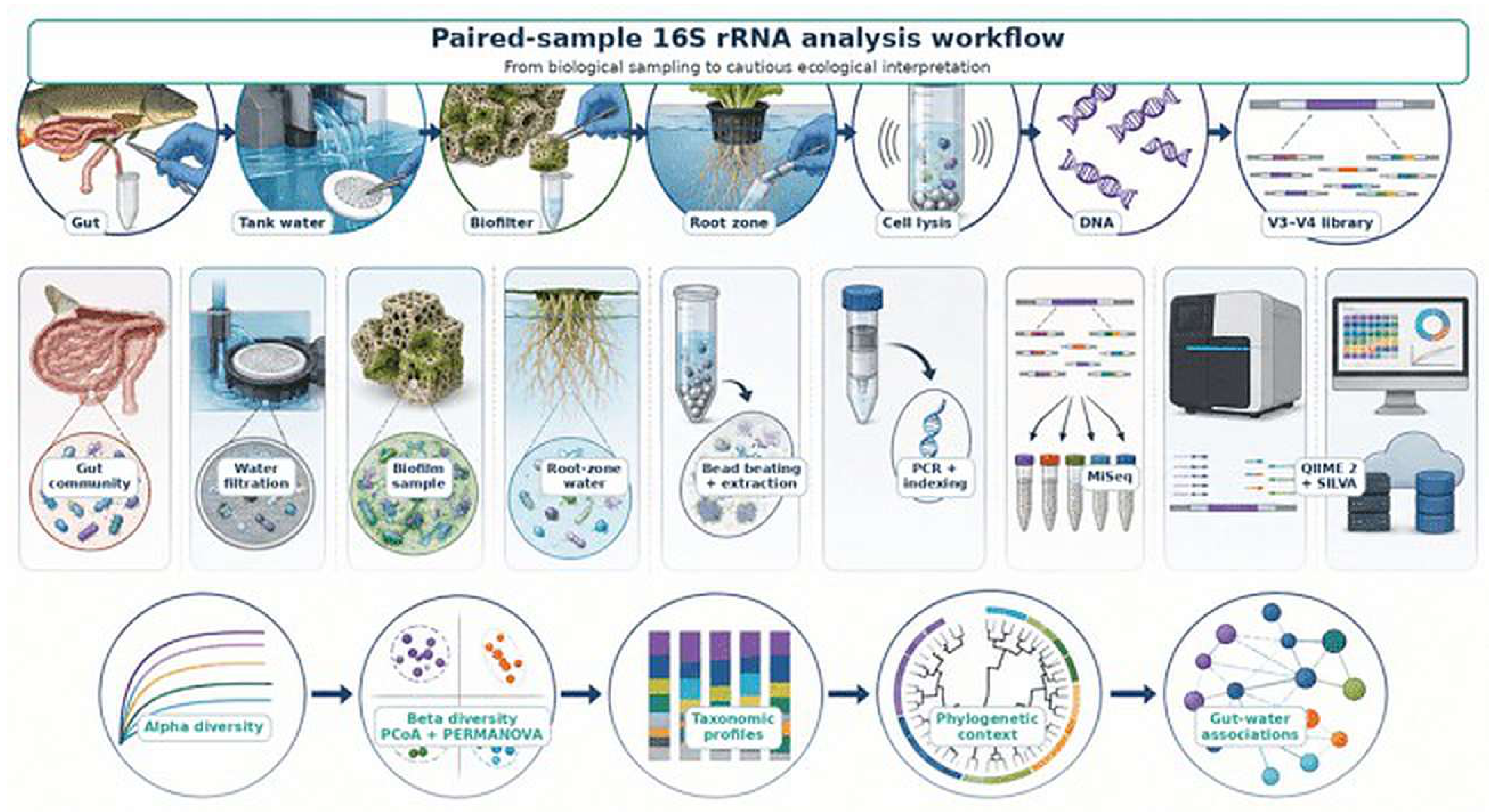 Preprints 234493 g003 Preprints 234493 g003