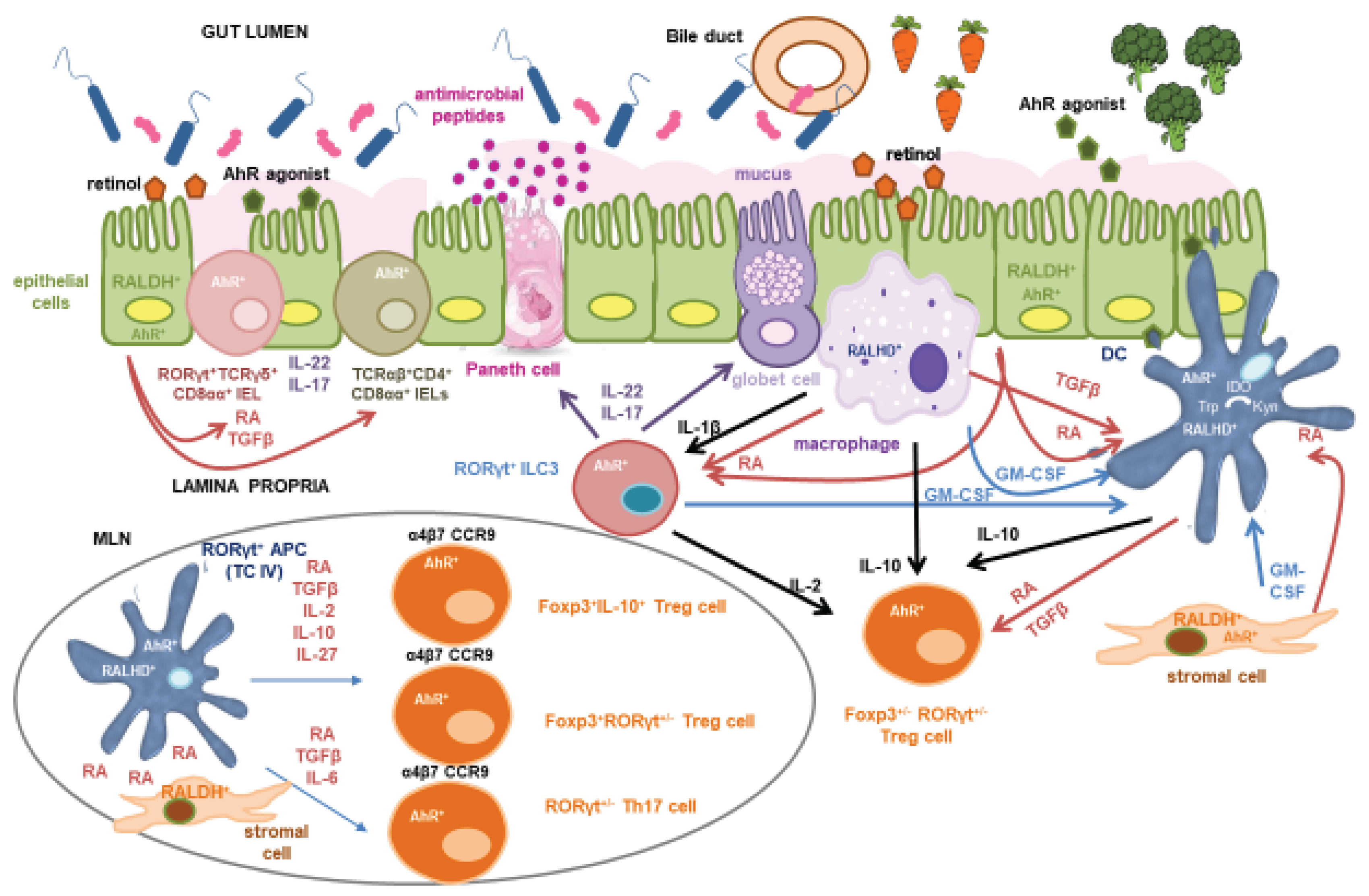 Preprints 179879 g001