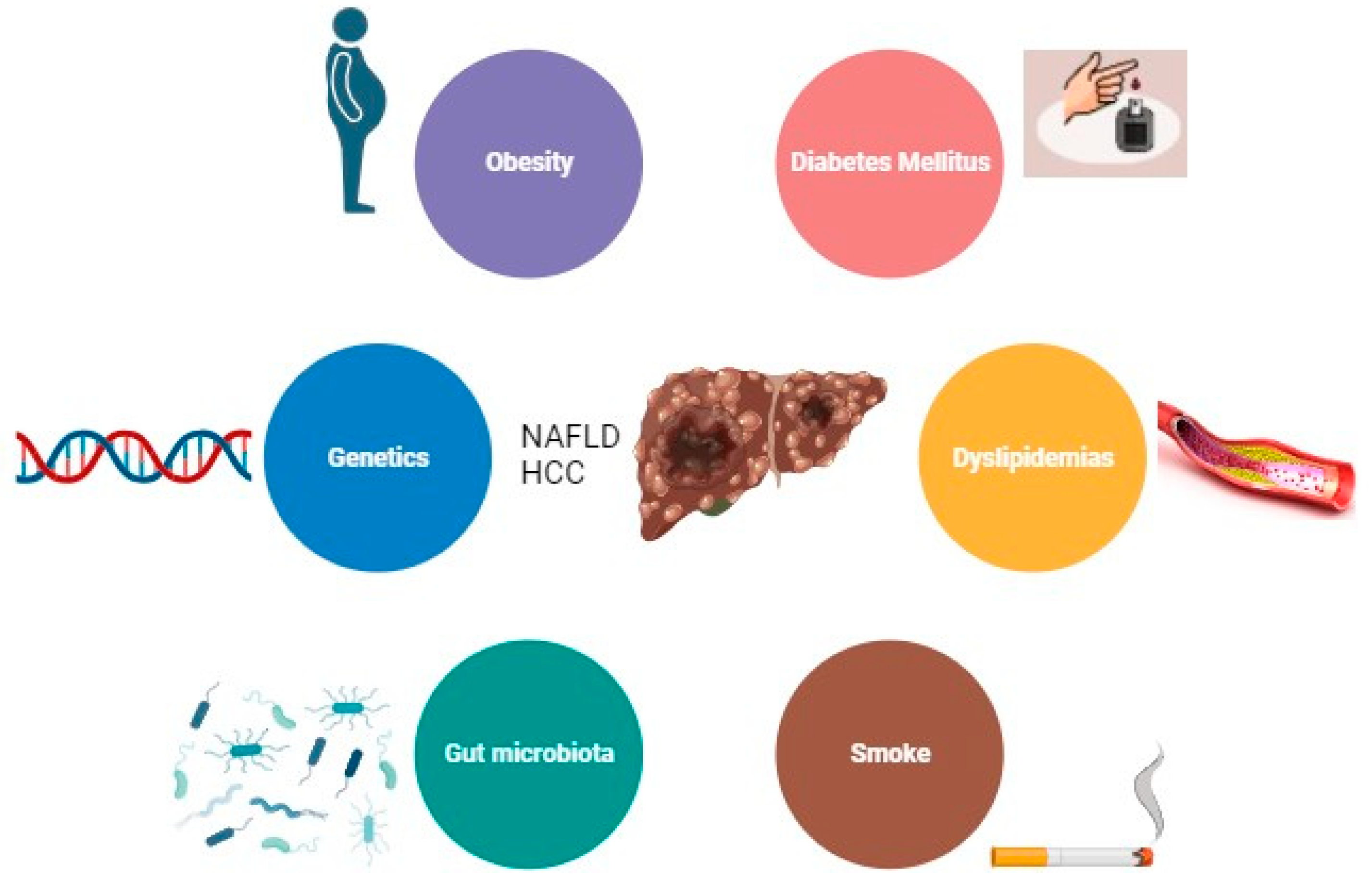 Preprints 87748 g001