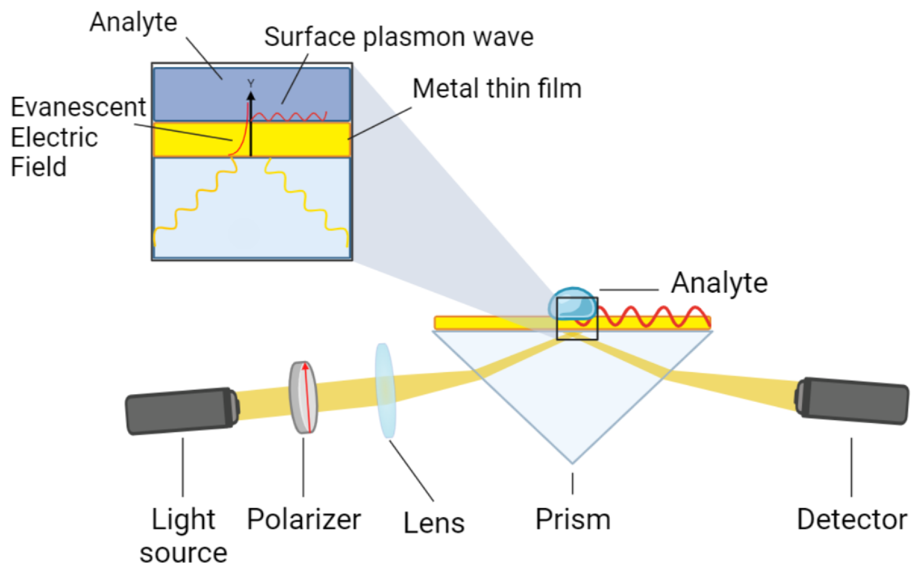 Preprints 143267 g001