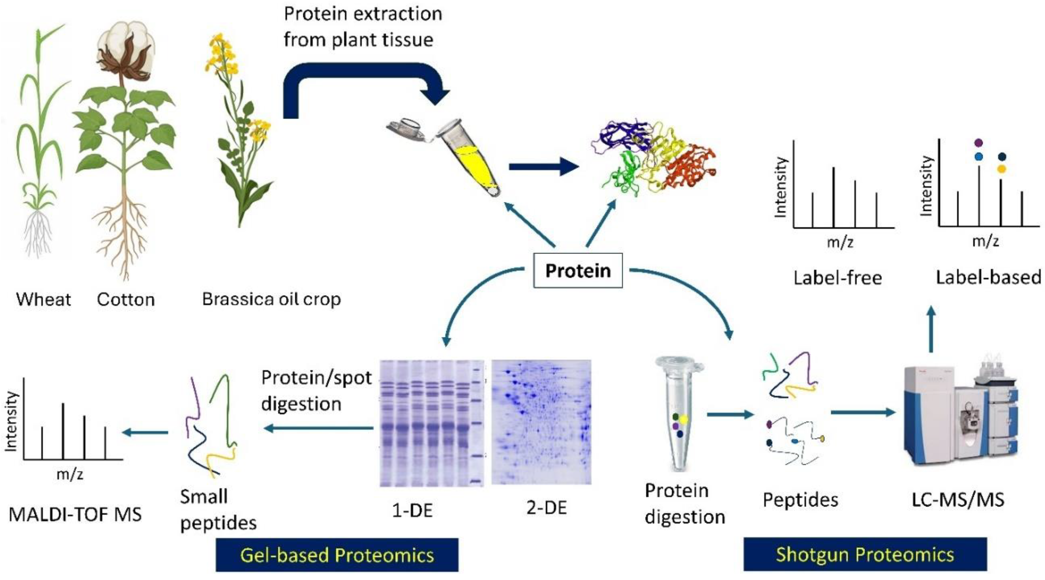 Preprints 181468 g001