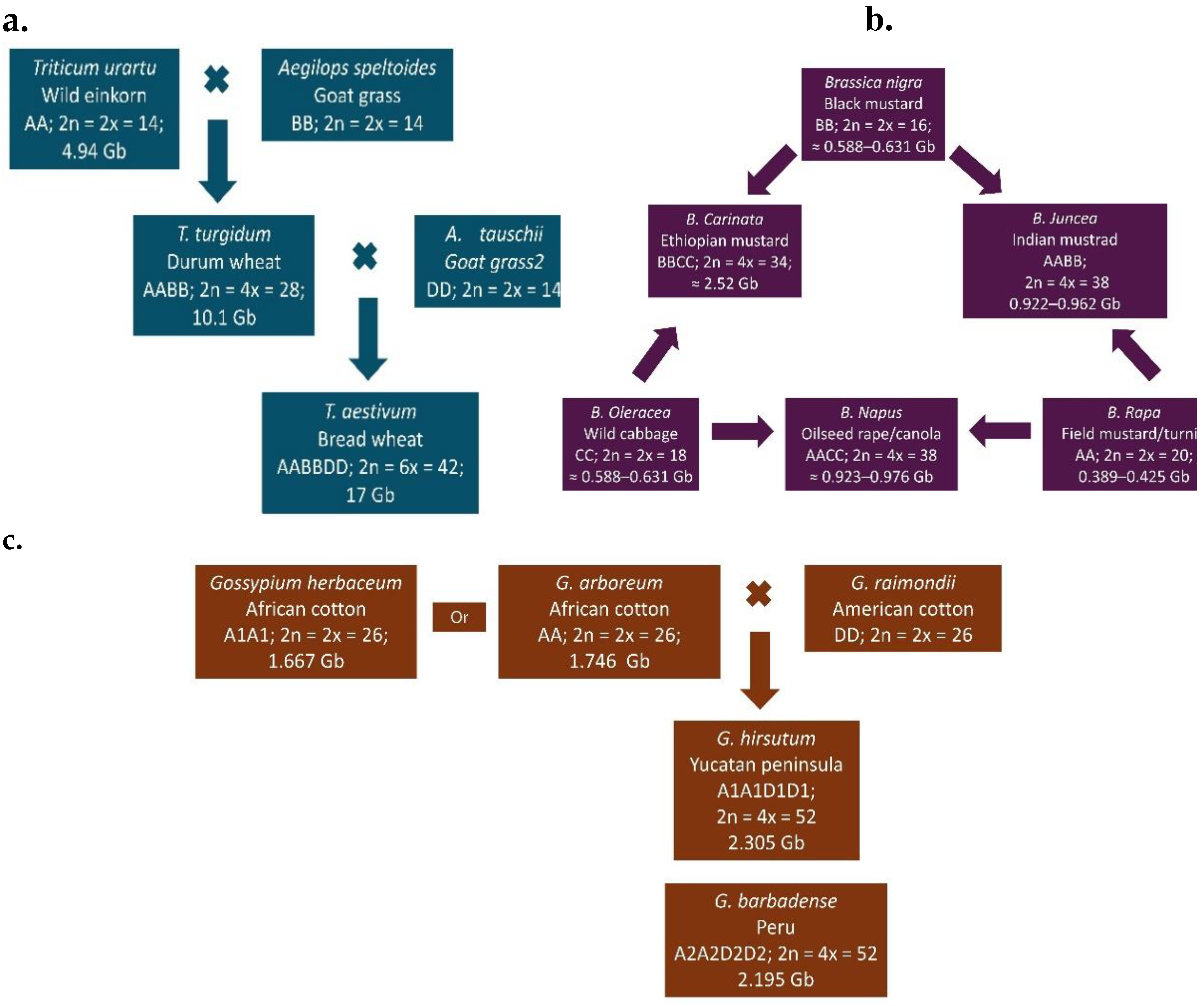 Preprints 181468 g002