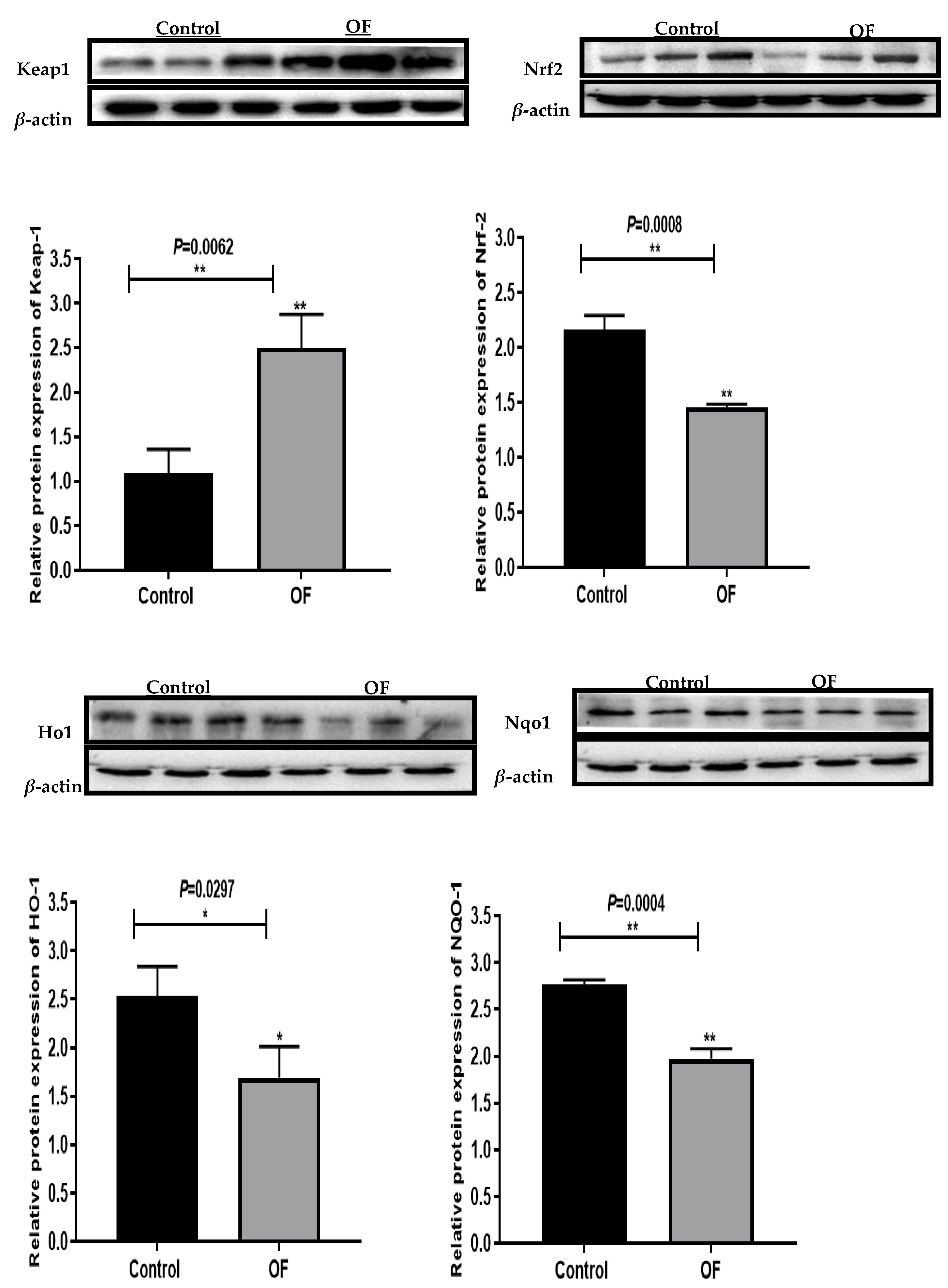 Preprints 197886 g002