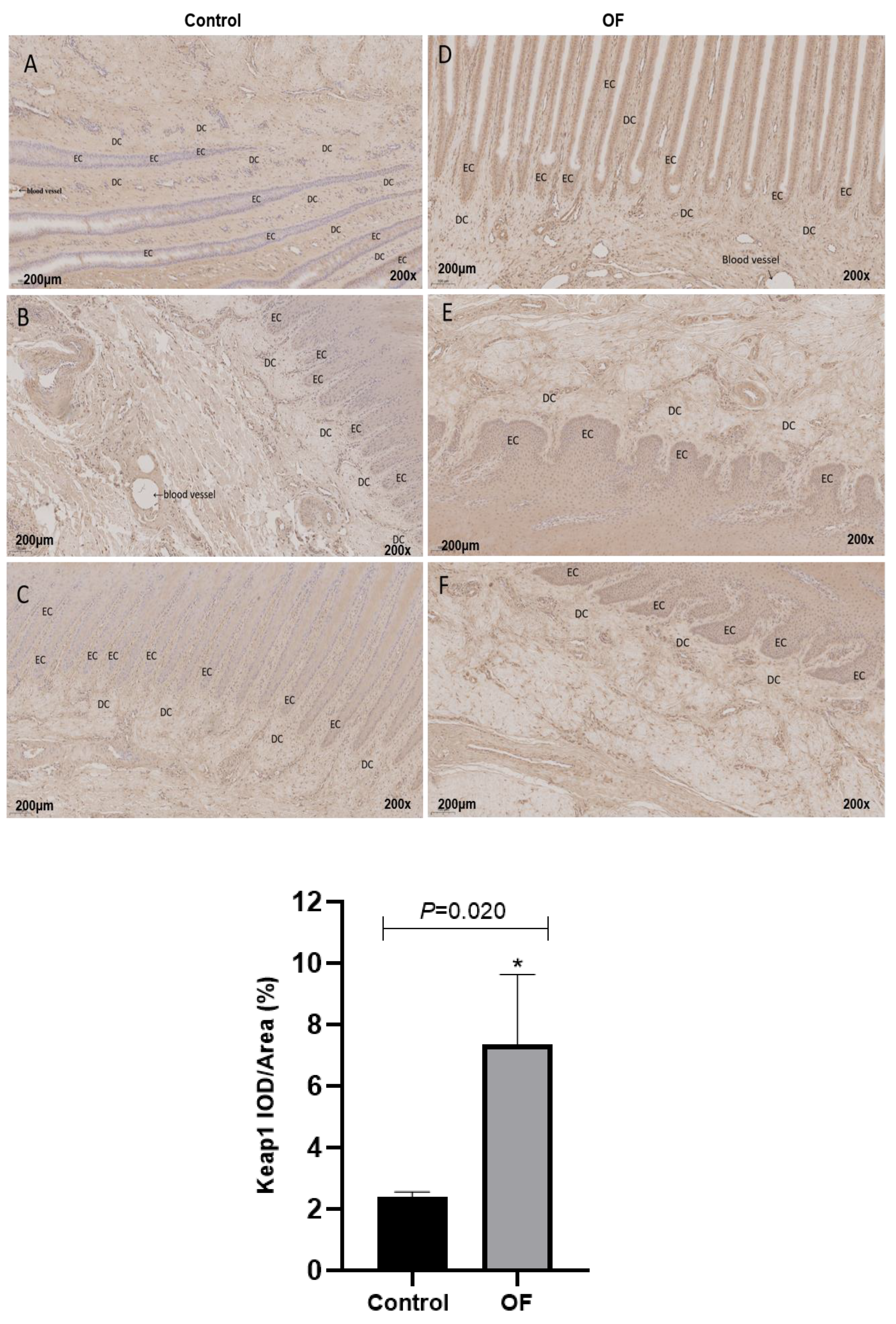 Preprints 197886 g003