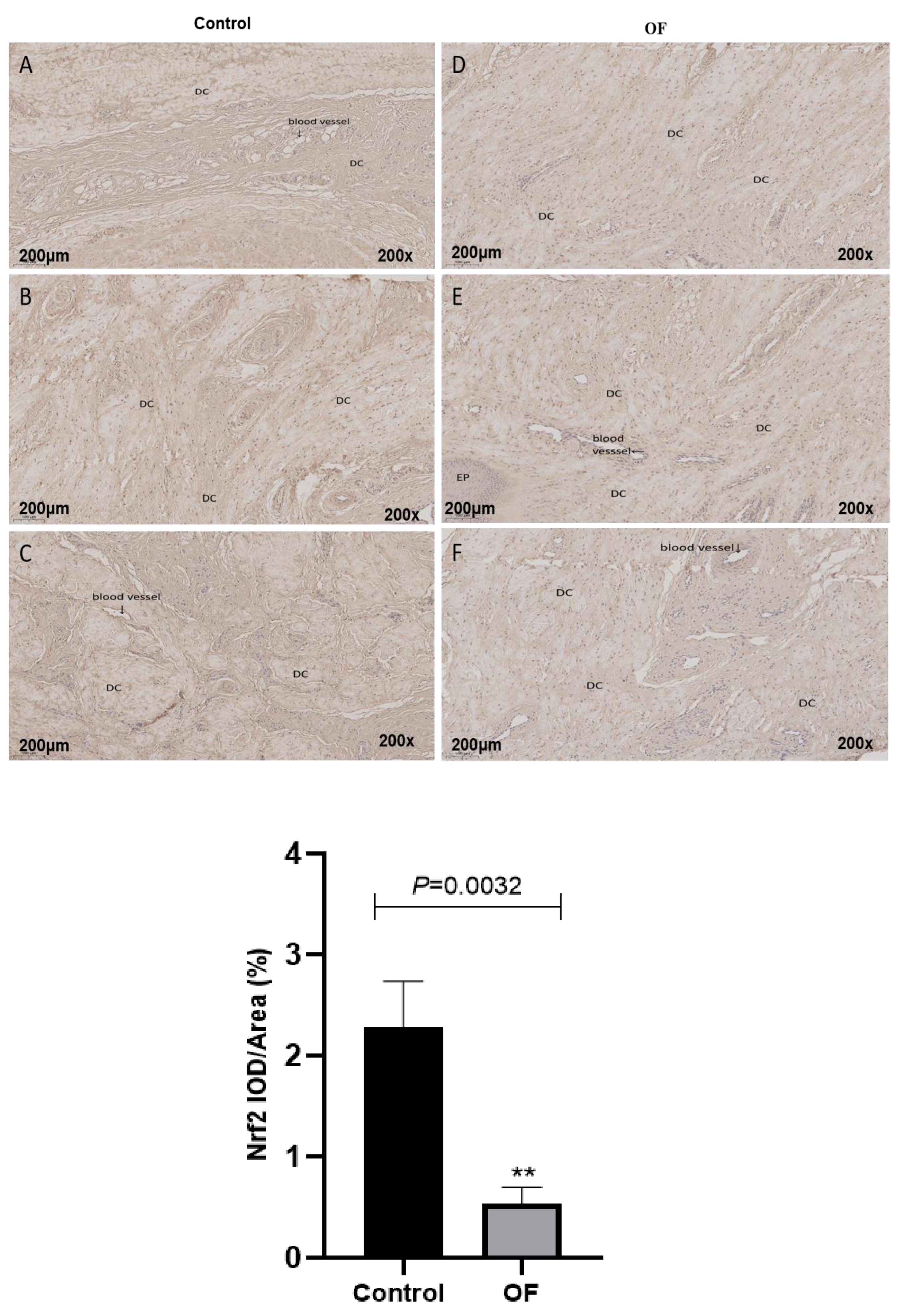 Preprints 197886 g004