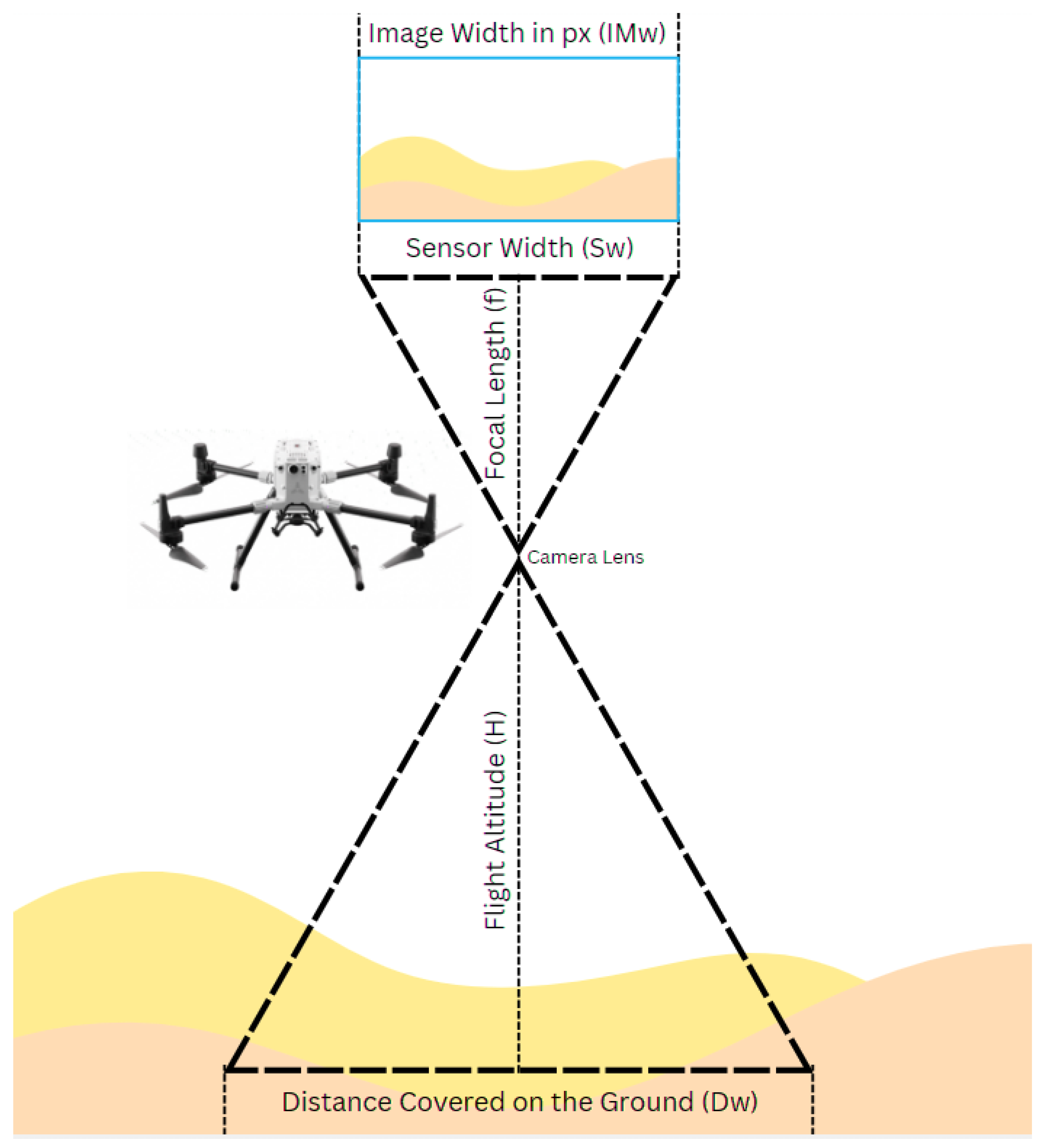 Preprints 146973 g002