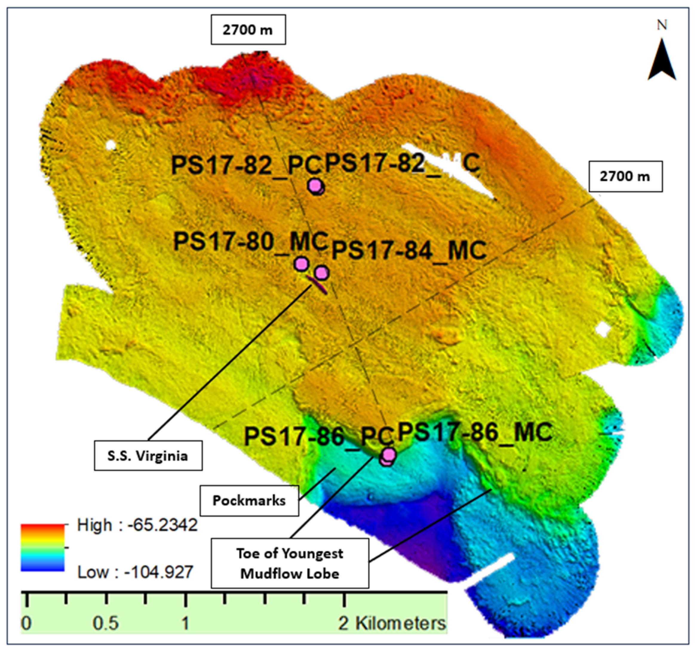 Preprints 94113 g002