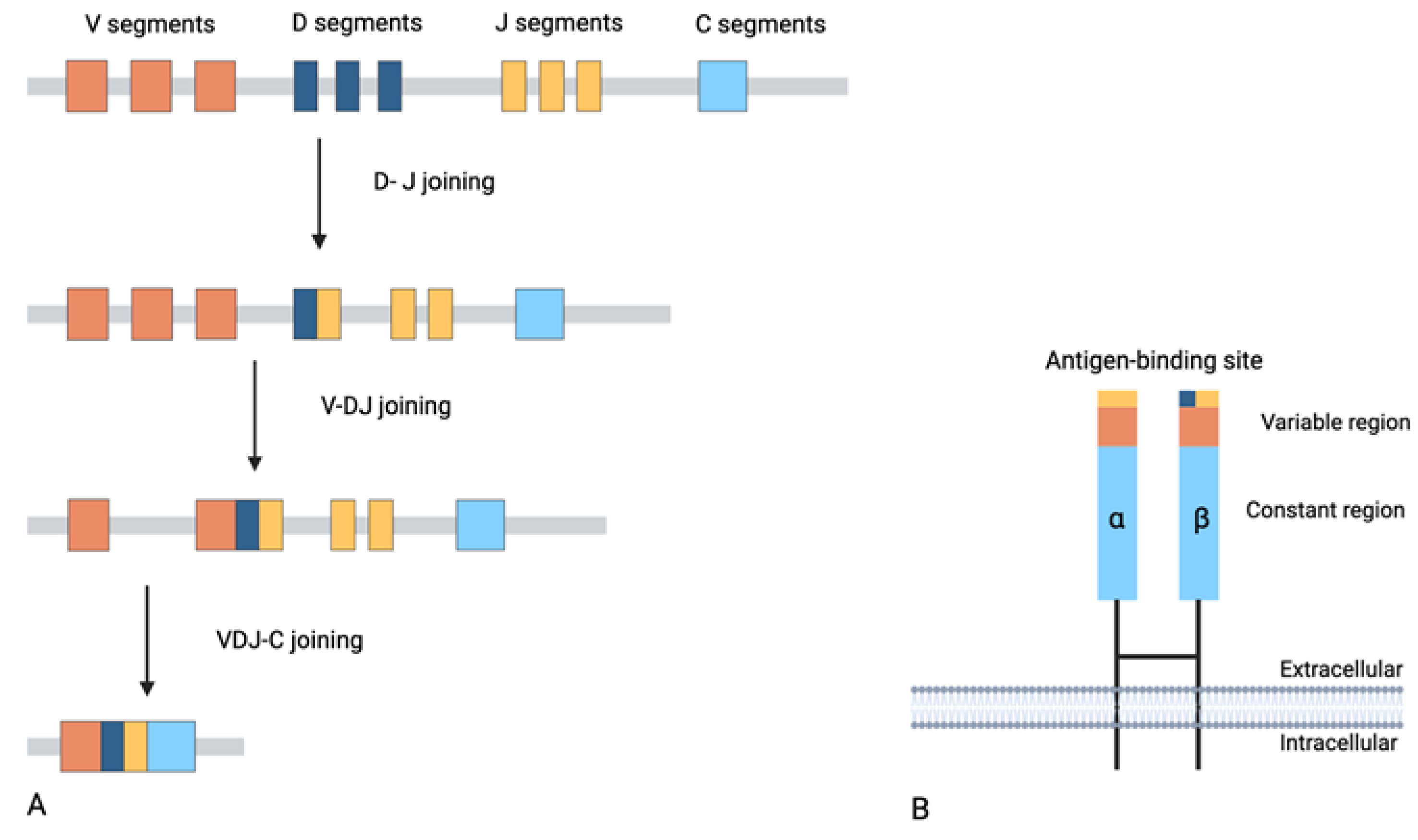 Preprints 142198 g001