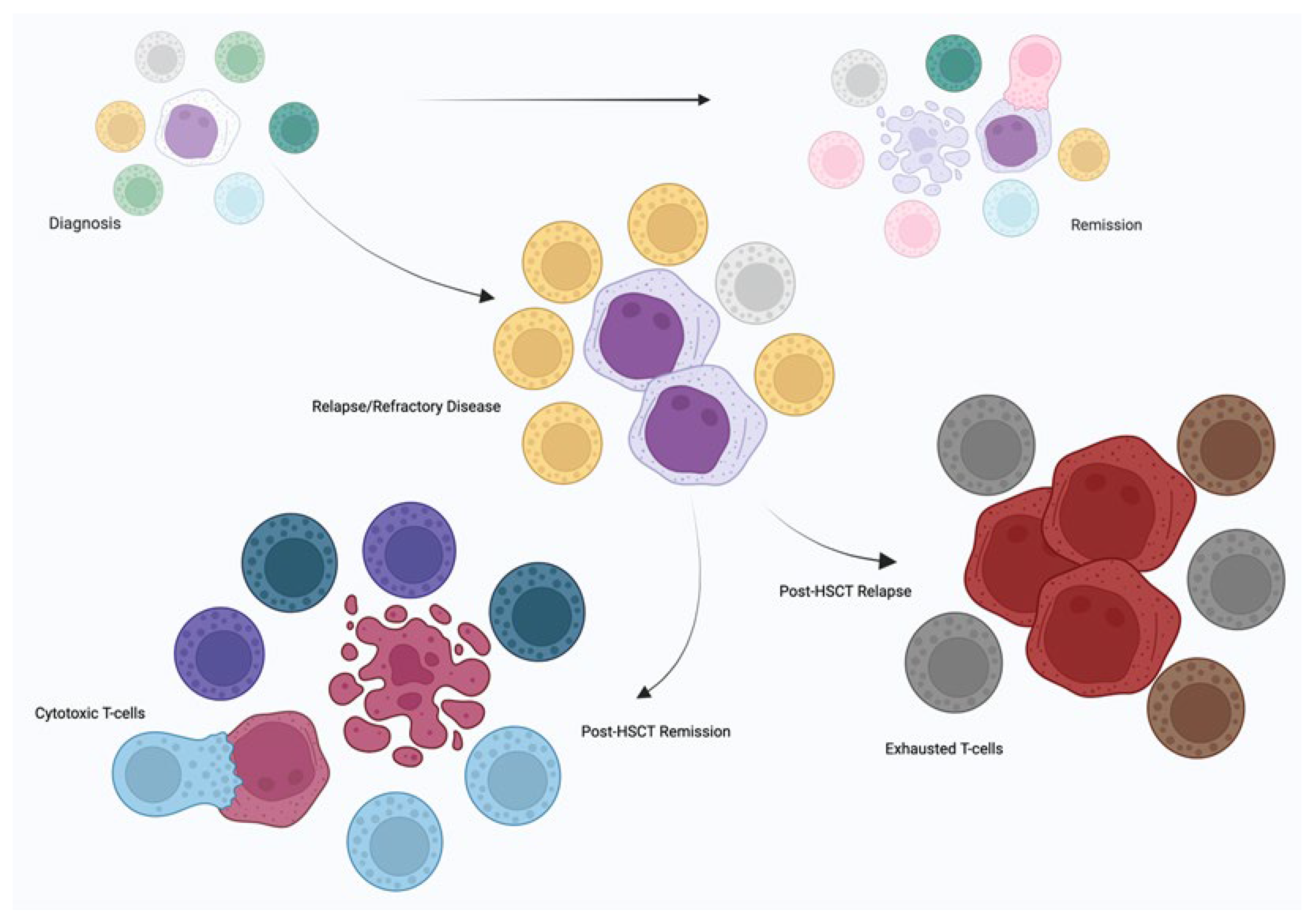 Preprints 142198 g002
