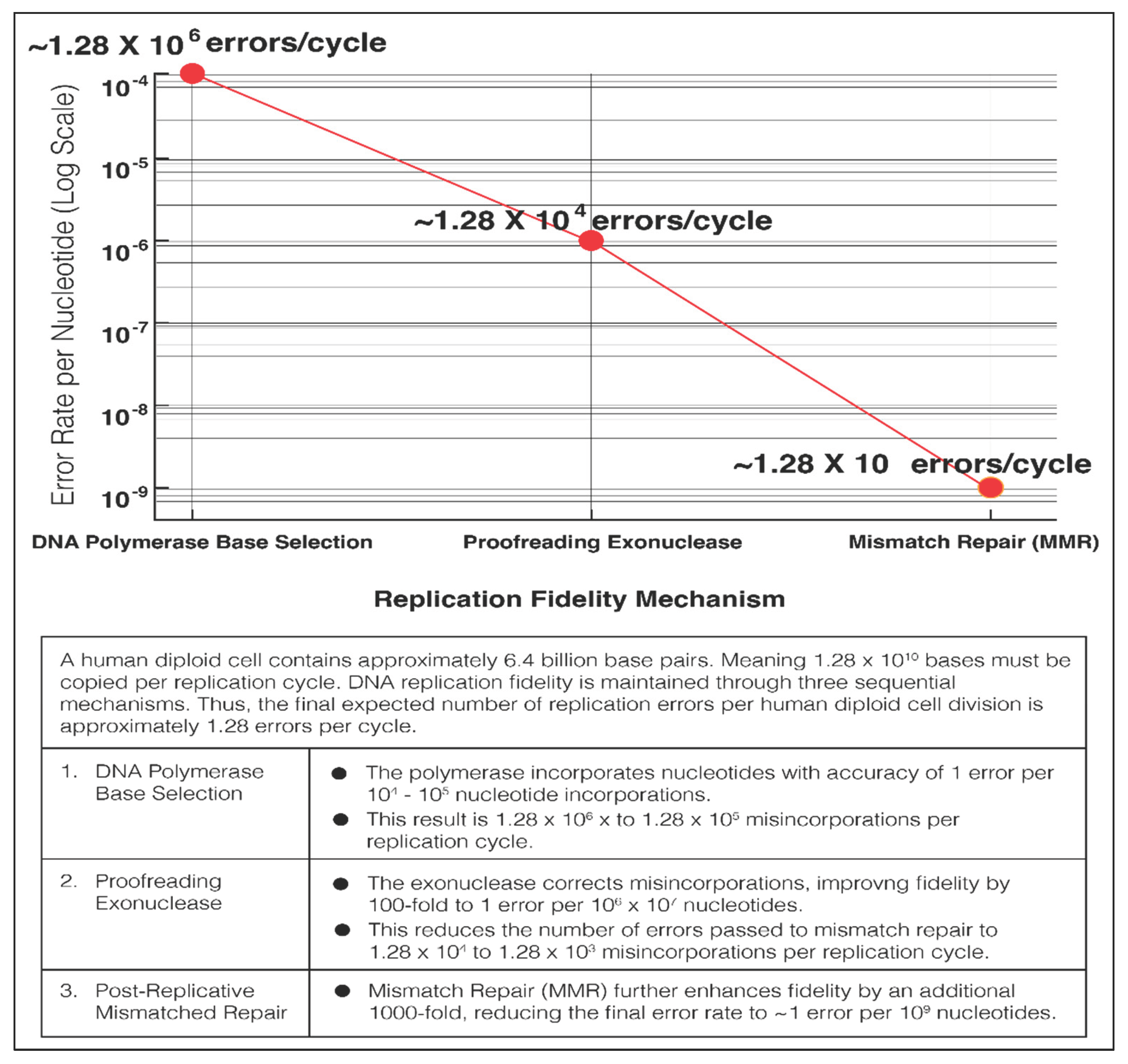 Preprints 197592 g002