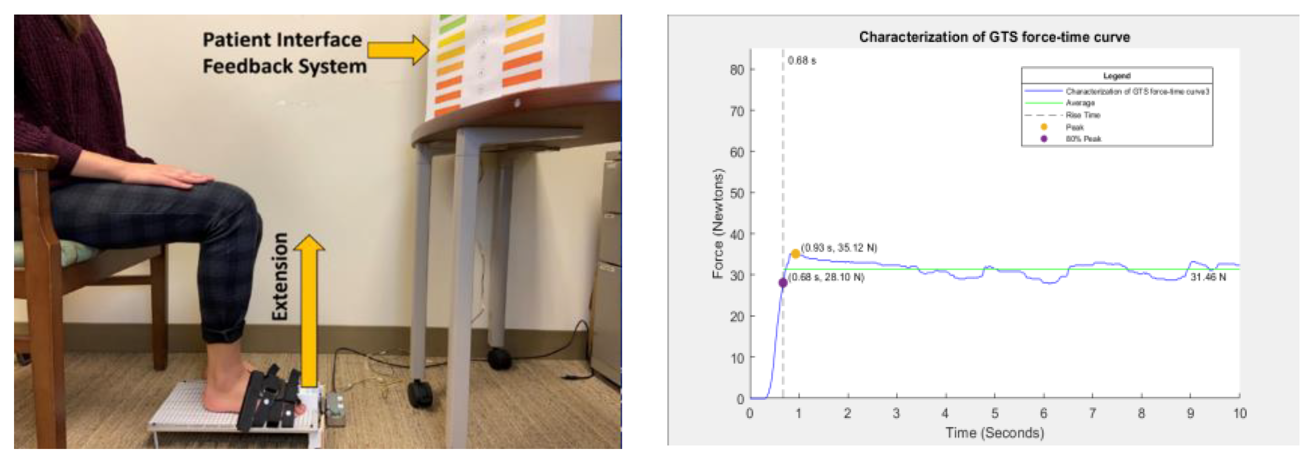 Preprints 109113 g001