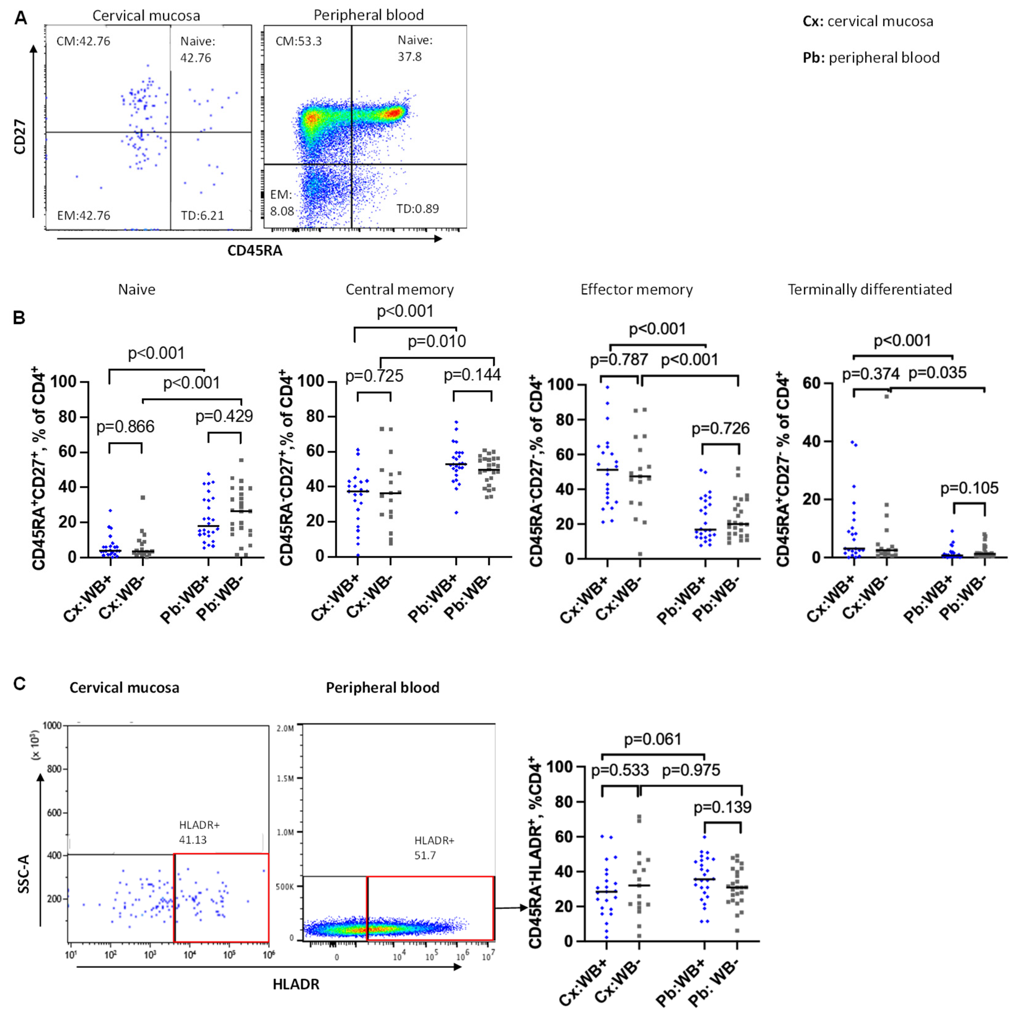 Preprints 172919 g002
