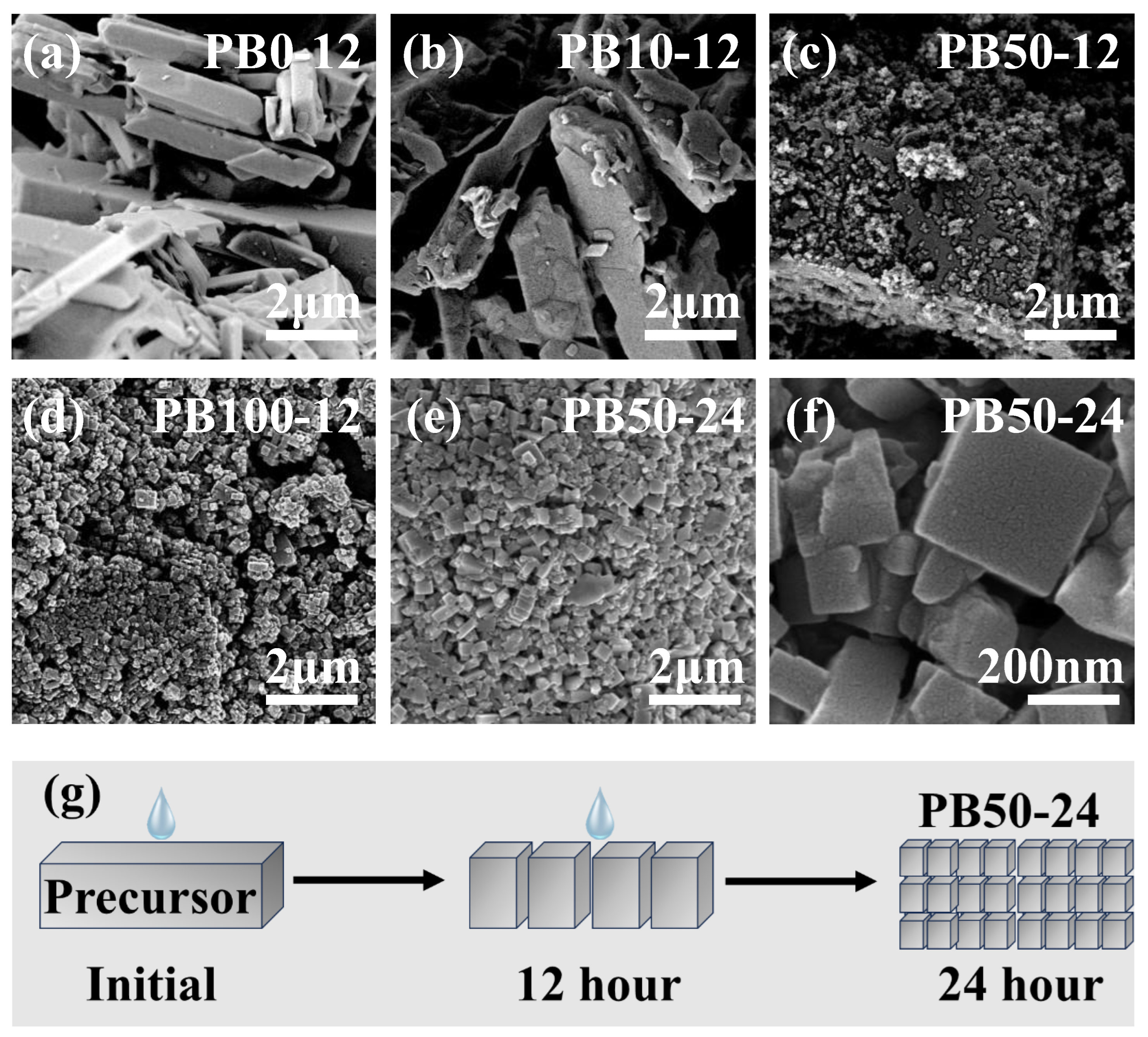 Preprints 149816 g003
