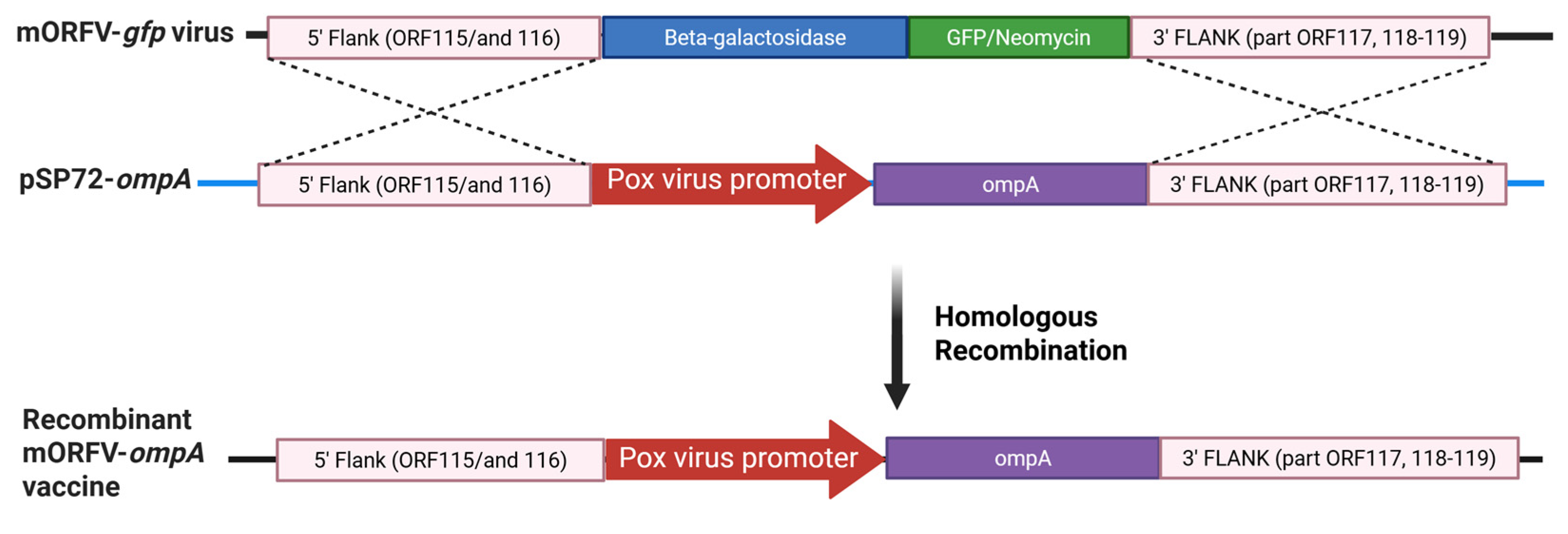 Preprints 160494 g002