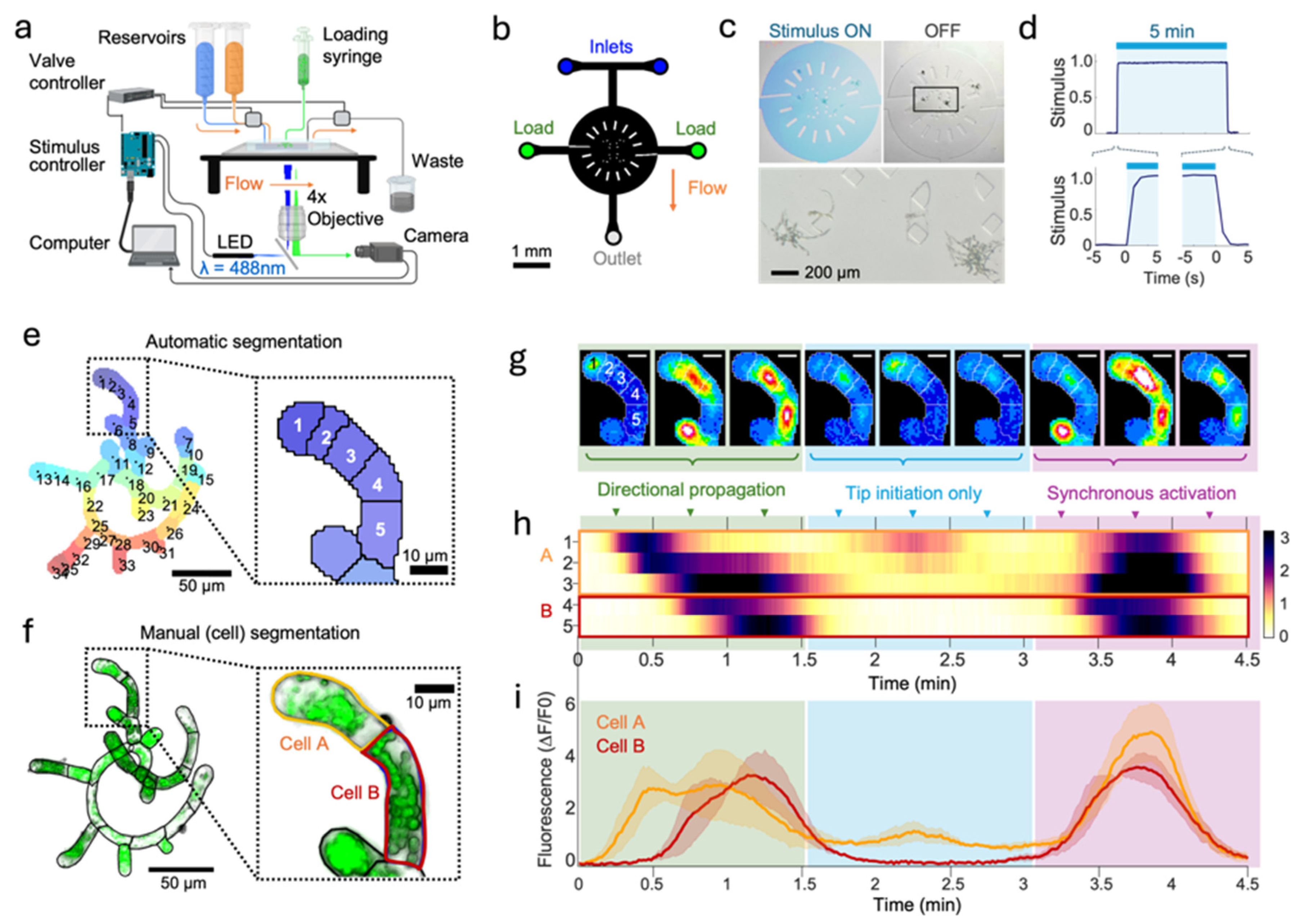 Preprints 194427 g001