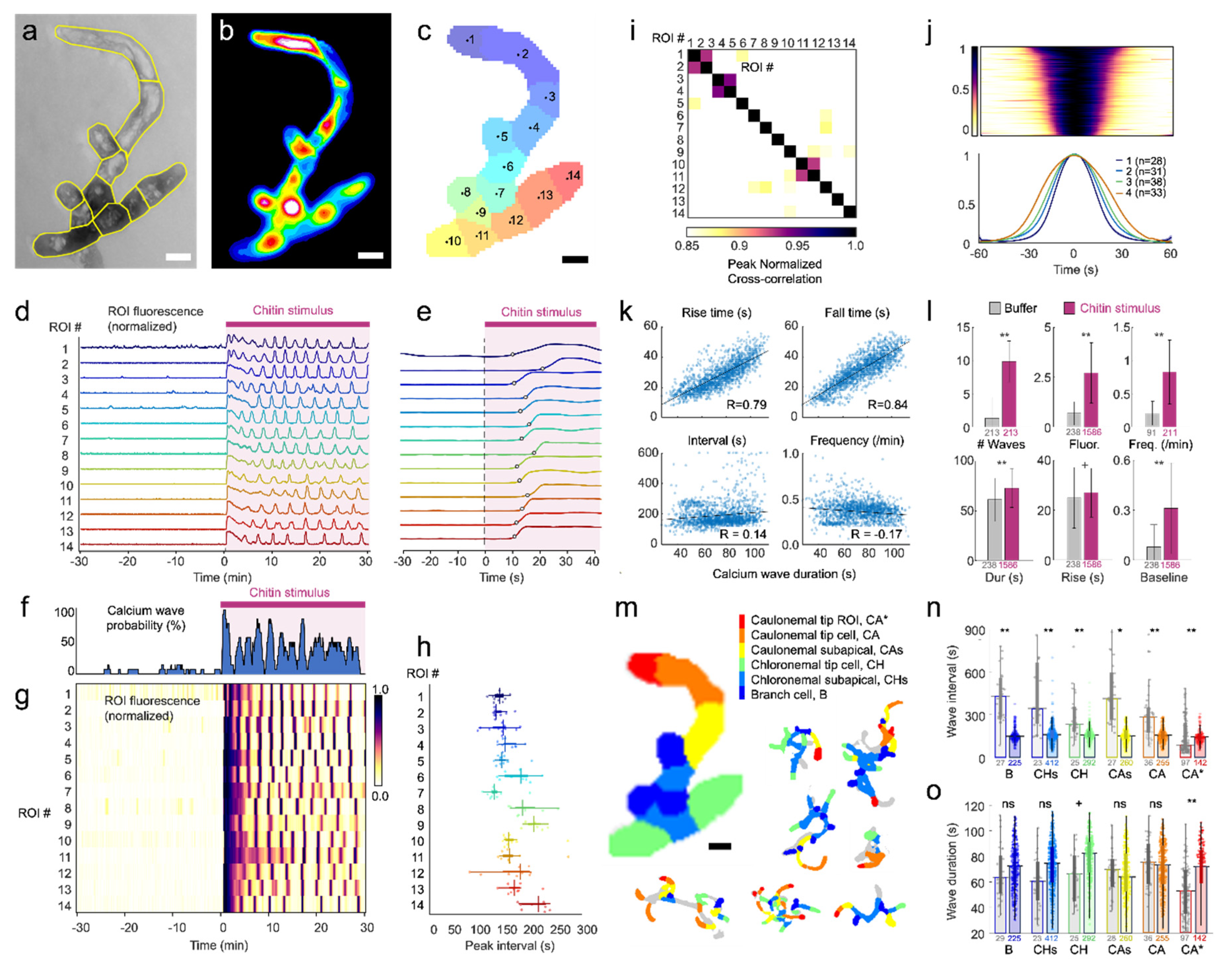 Preprints 194427 g002