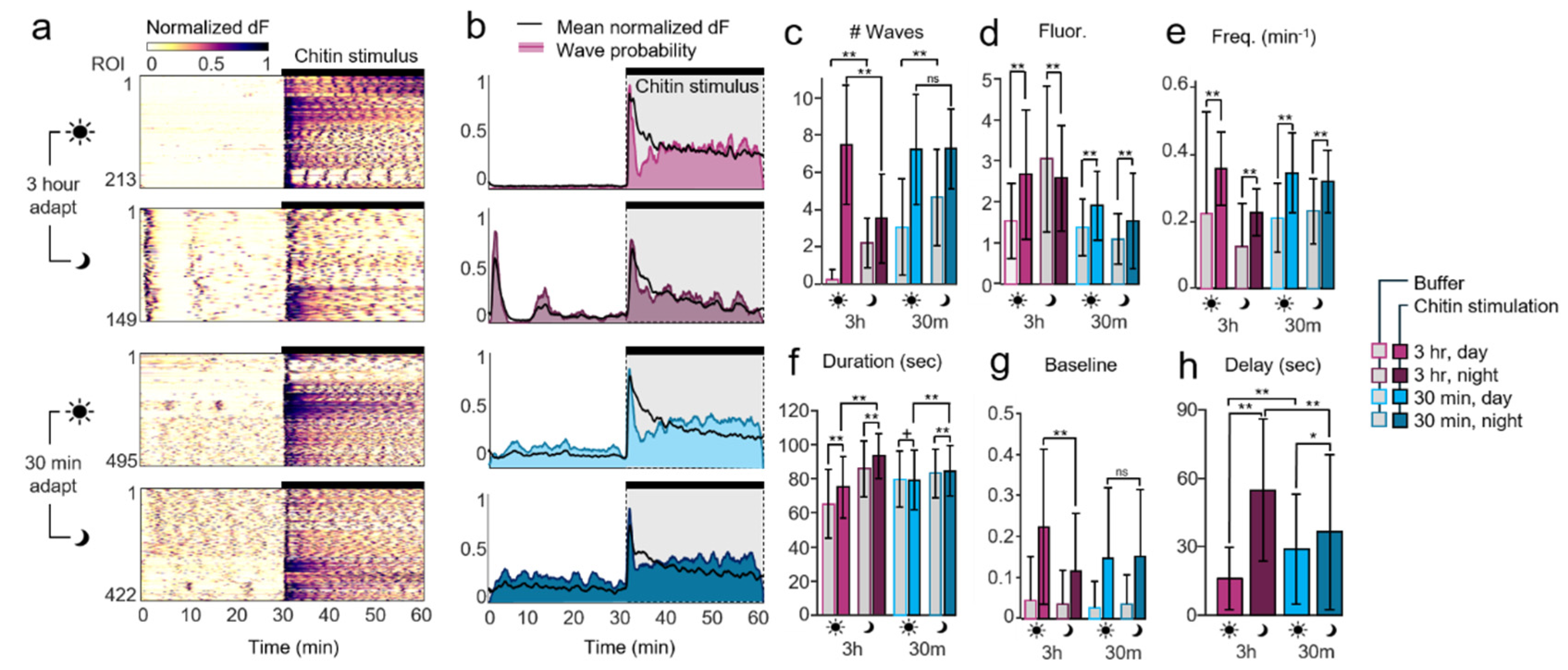 Preprints 194427 g003