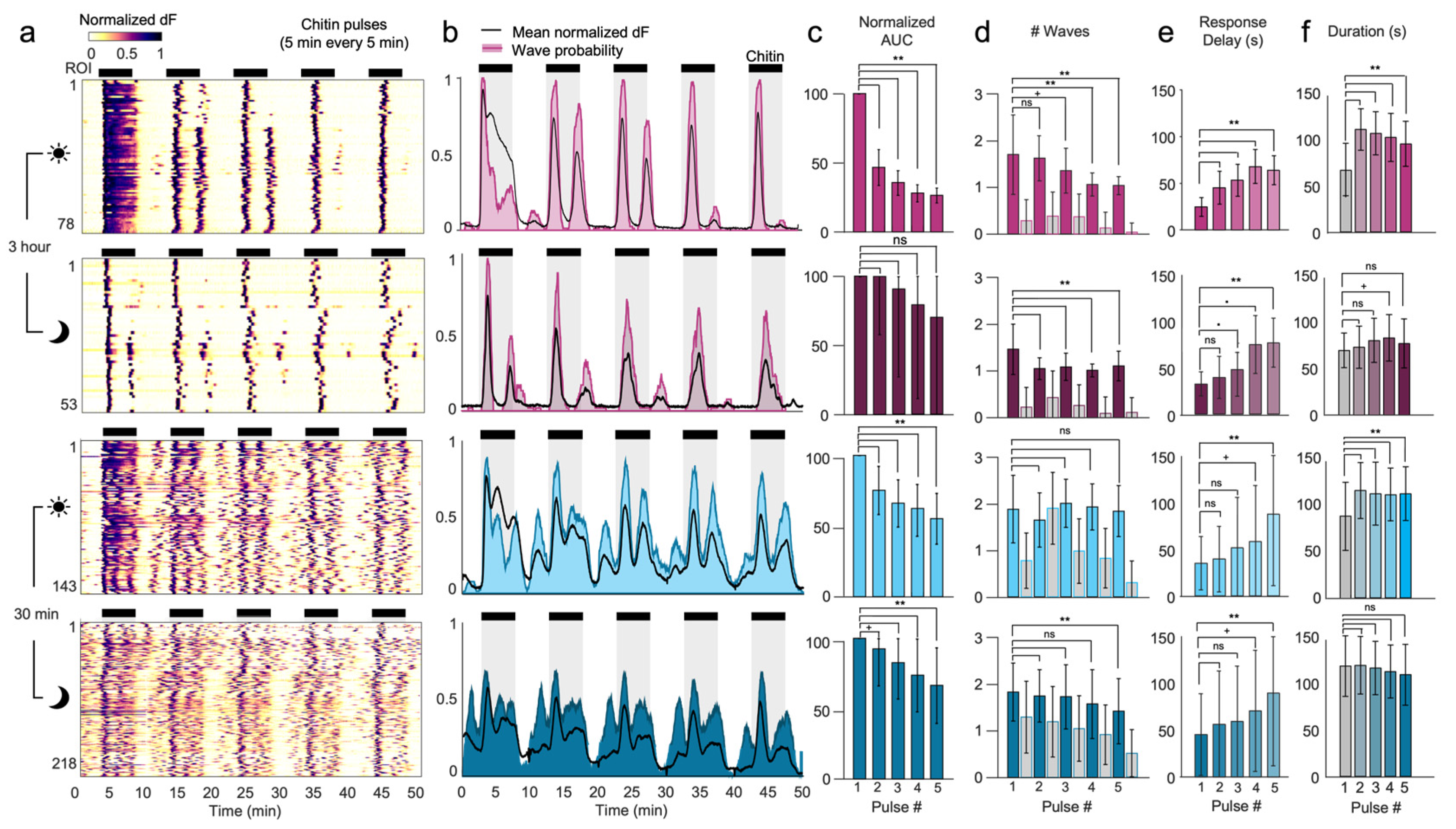Preprints 194427 g004