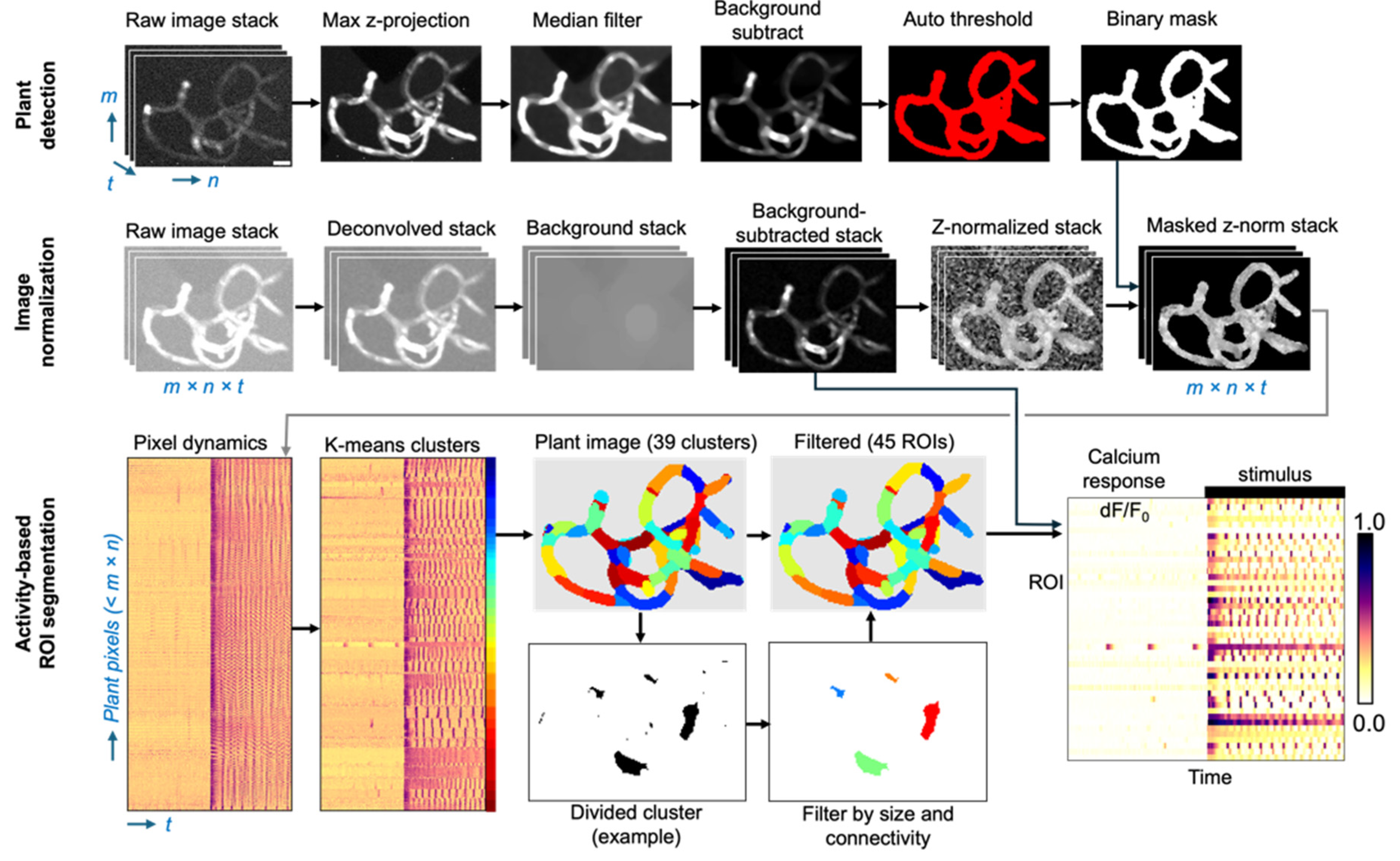 Preprints 194427 g006