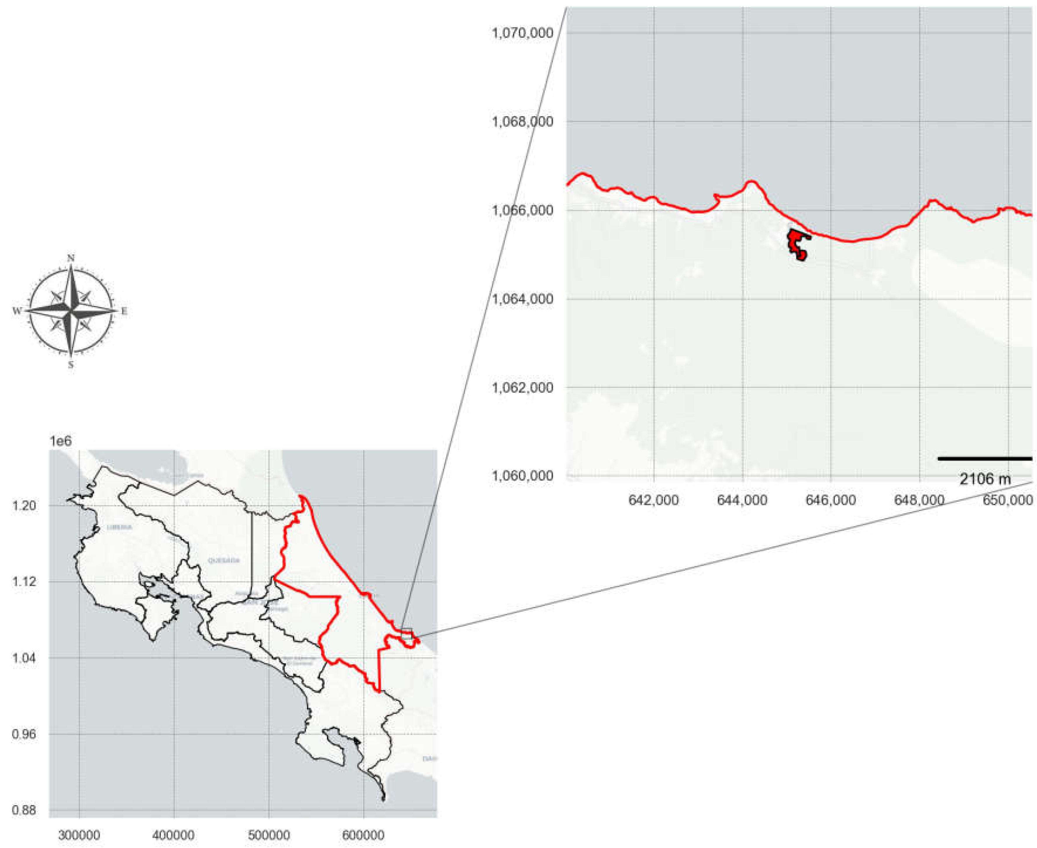 Preprints 121496 g001