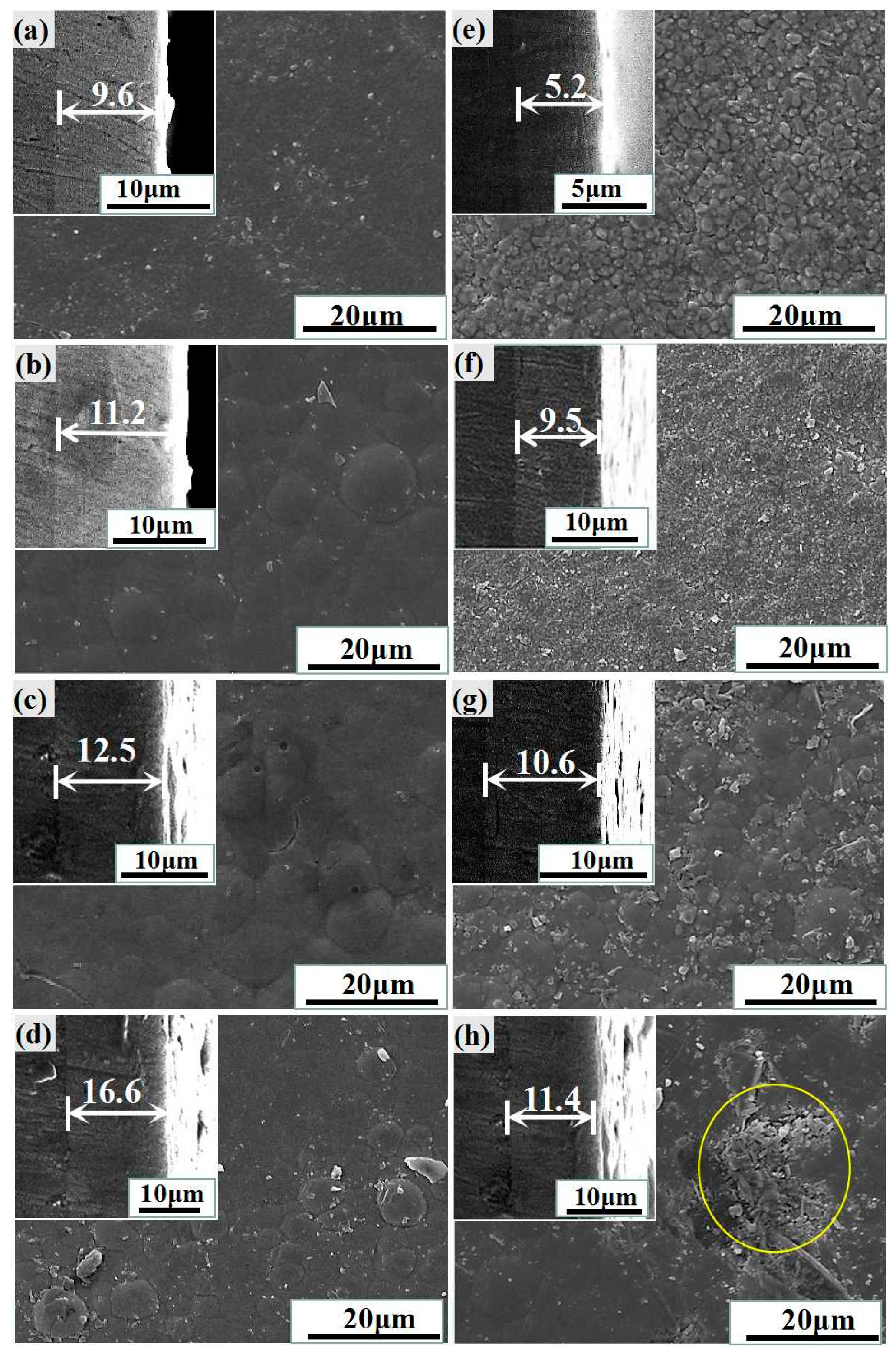 Preprints 96828 g001