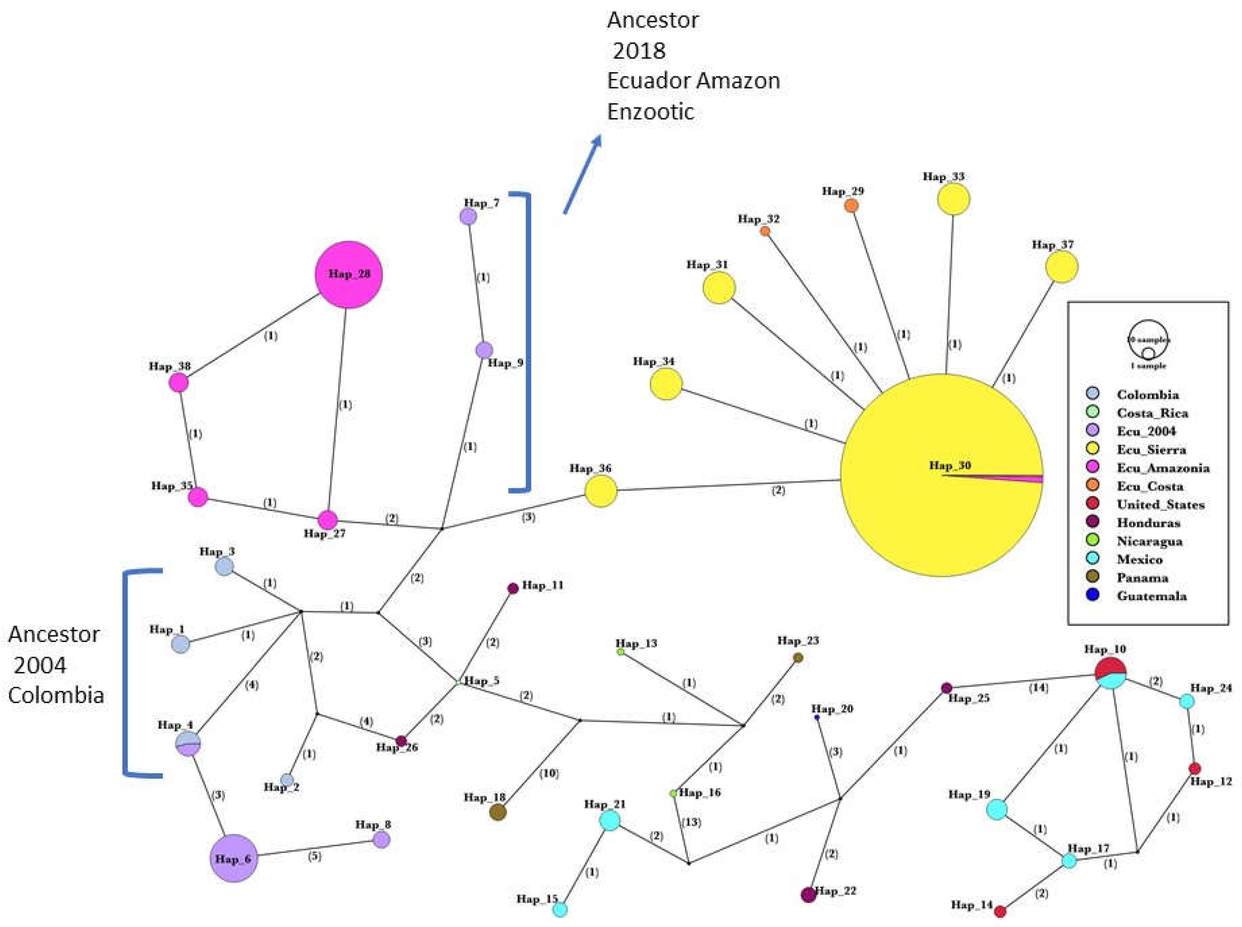 Preprints 66891 g003