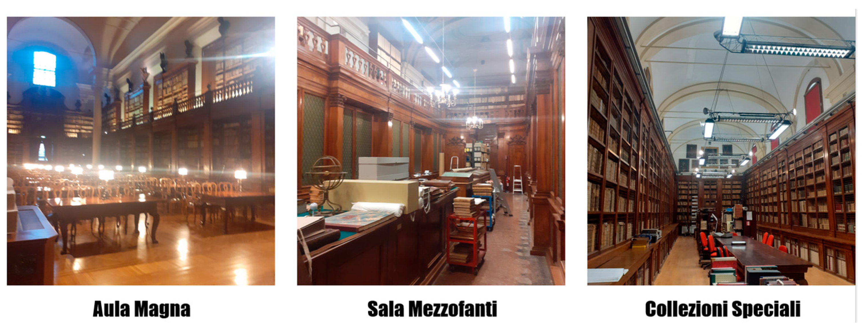 Preprints 158790 g003