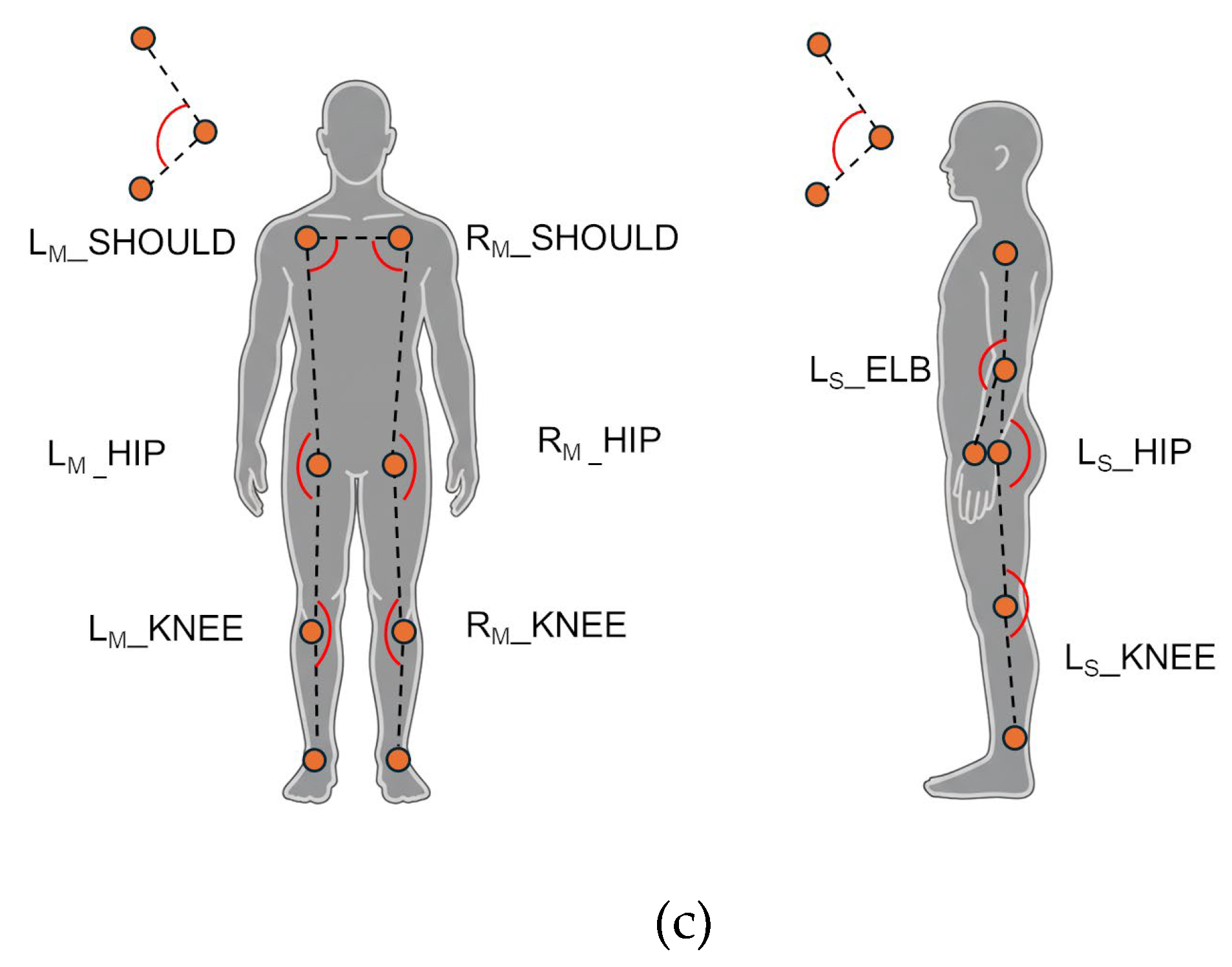 Preprints 194361 g003b