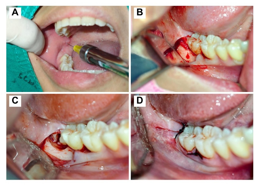 Preprints 196668 g001