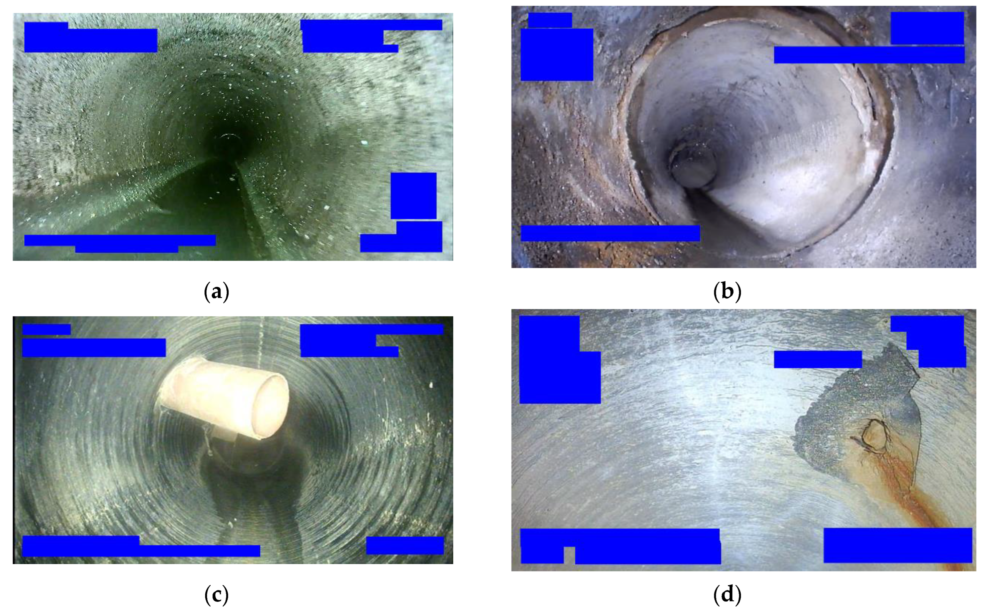 Preprints 162045 g002