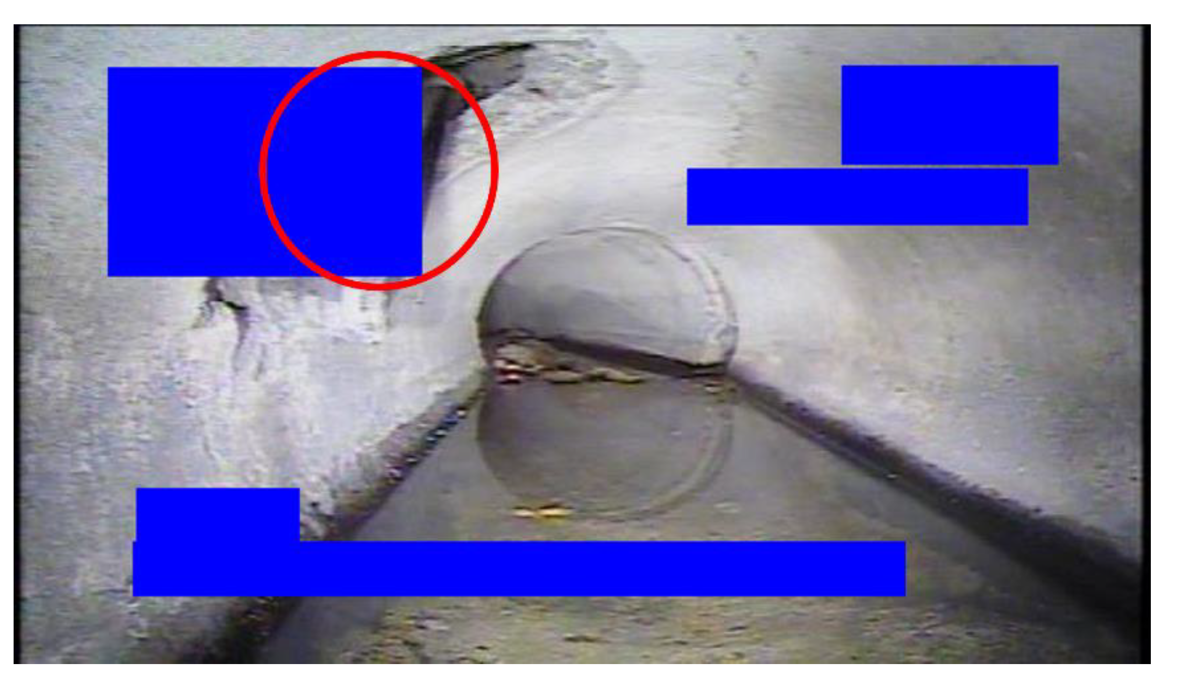 Preprints 162045 g012