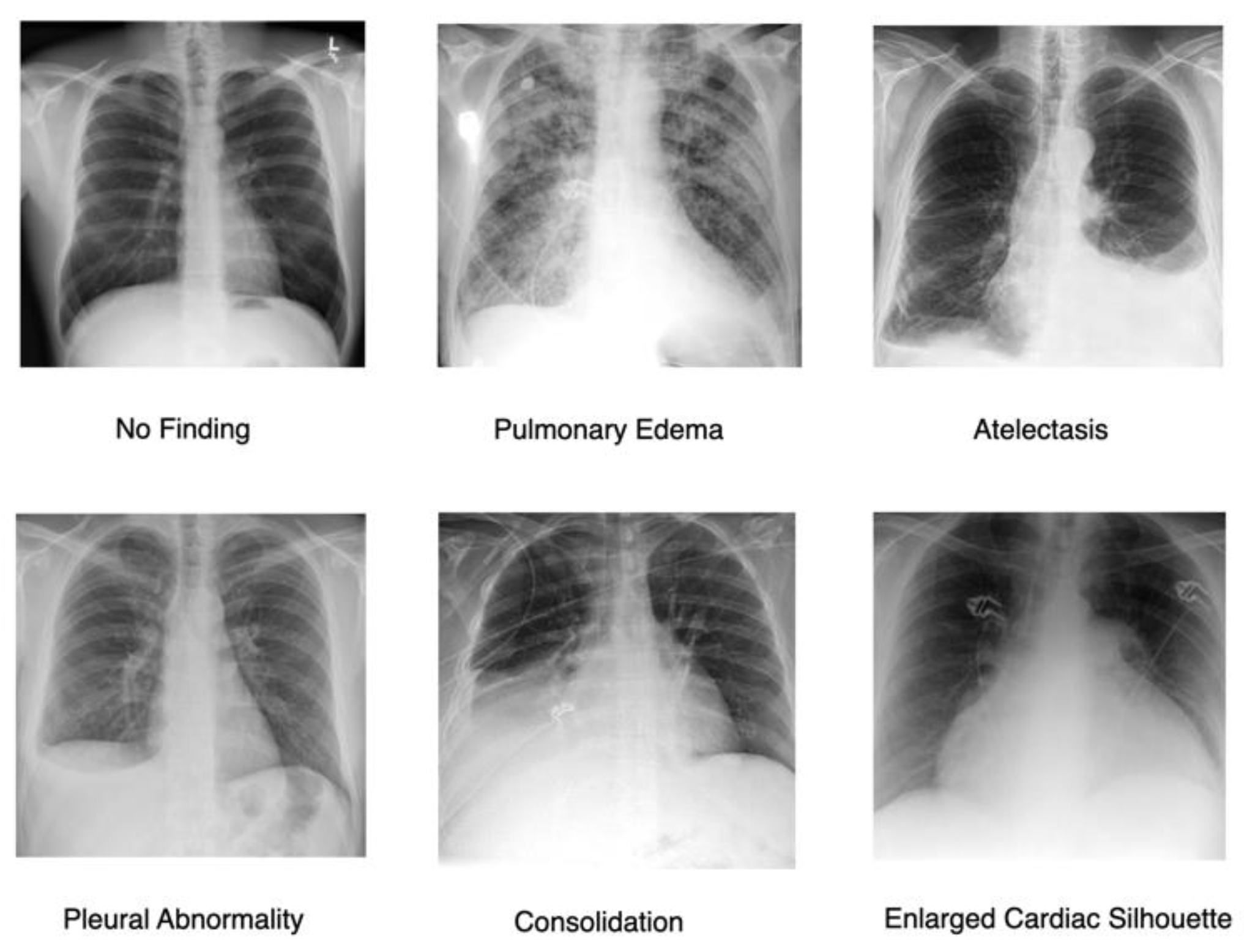 Preprints 160243 g003