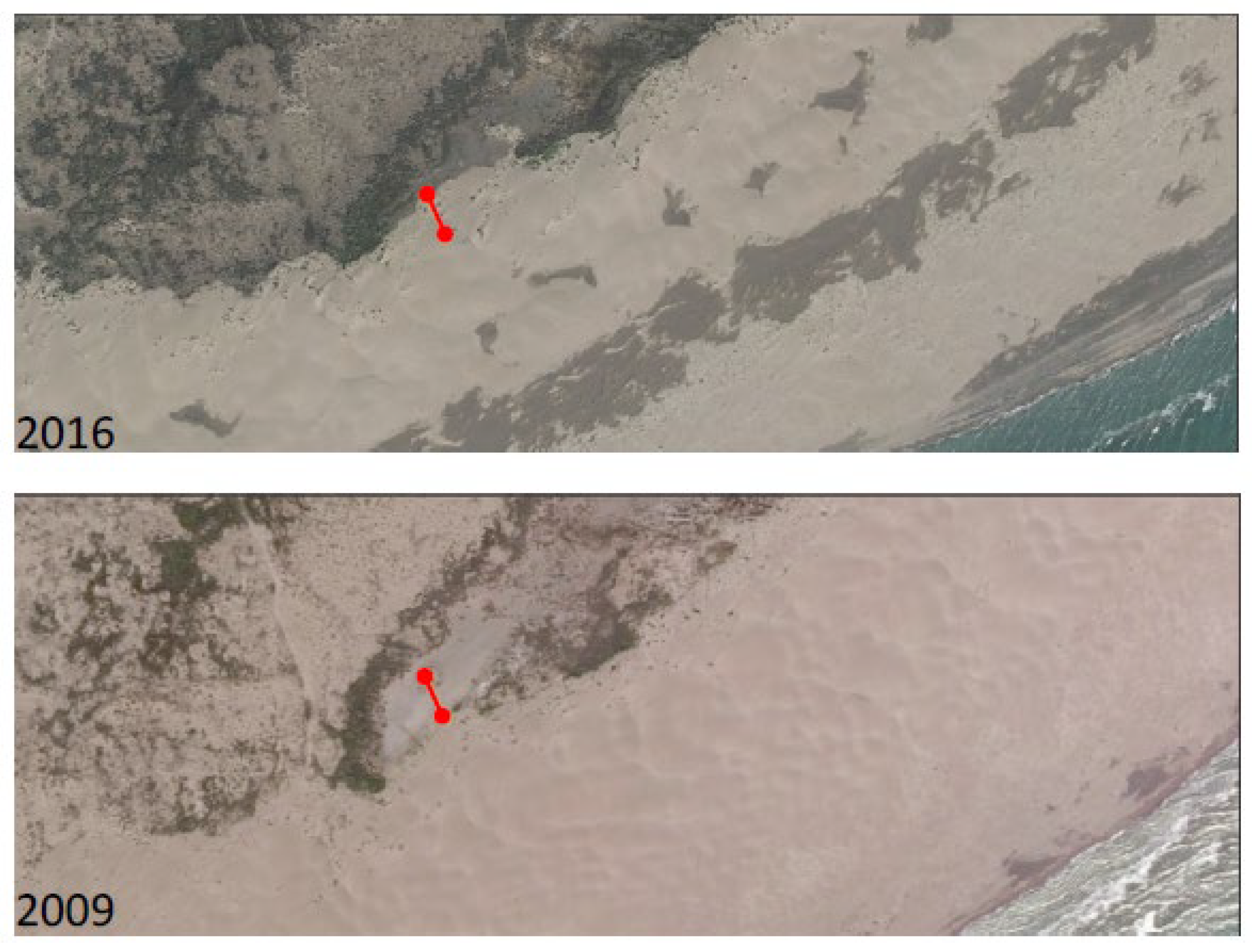 Preprints 162196 g015