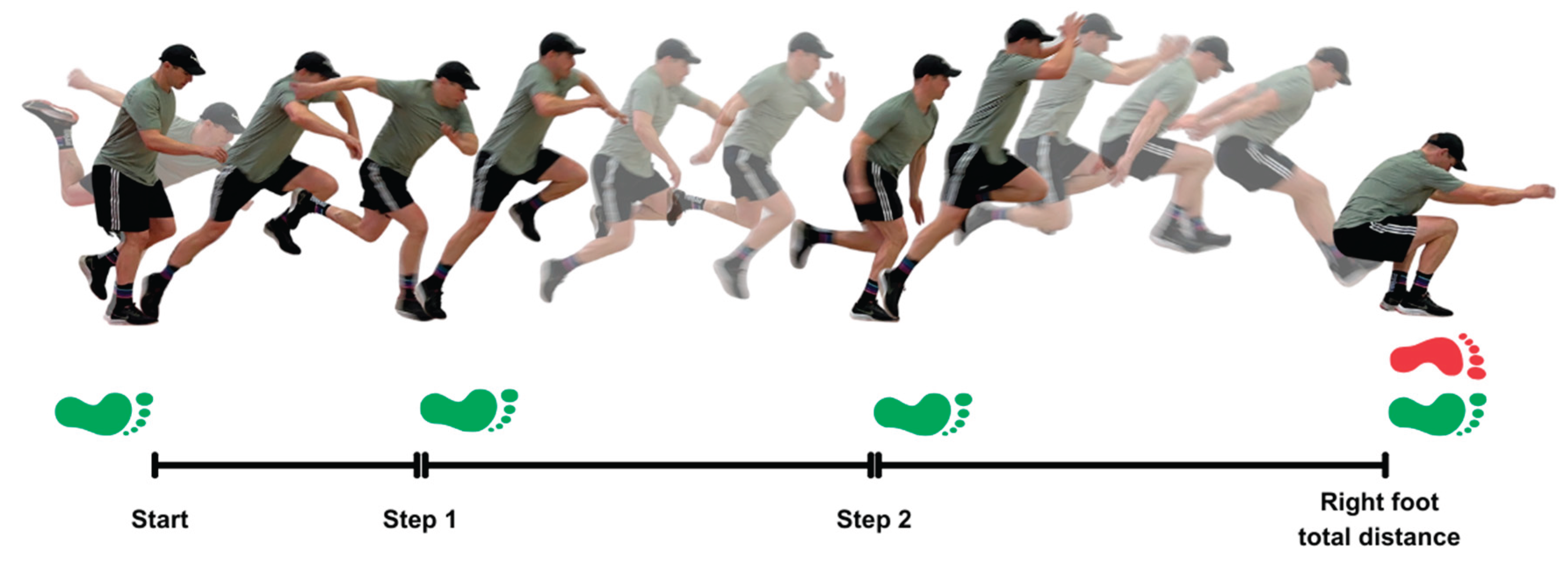 Preprints 167271 g001