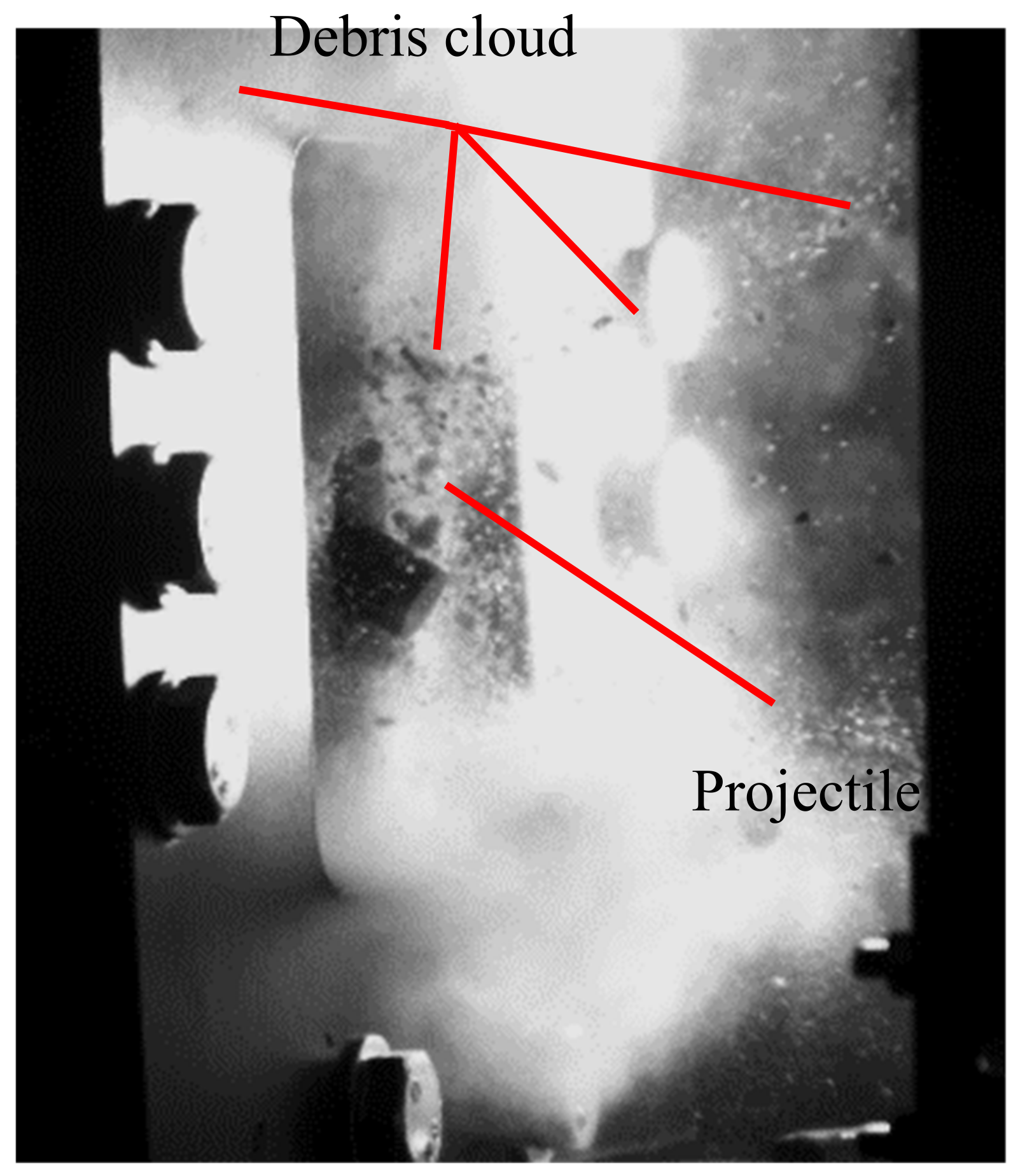 Preprints 138714 g006