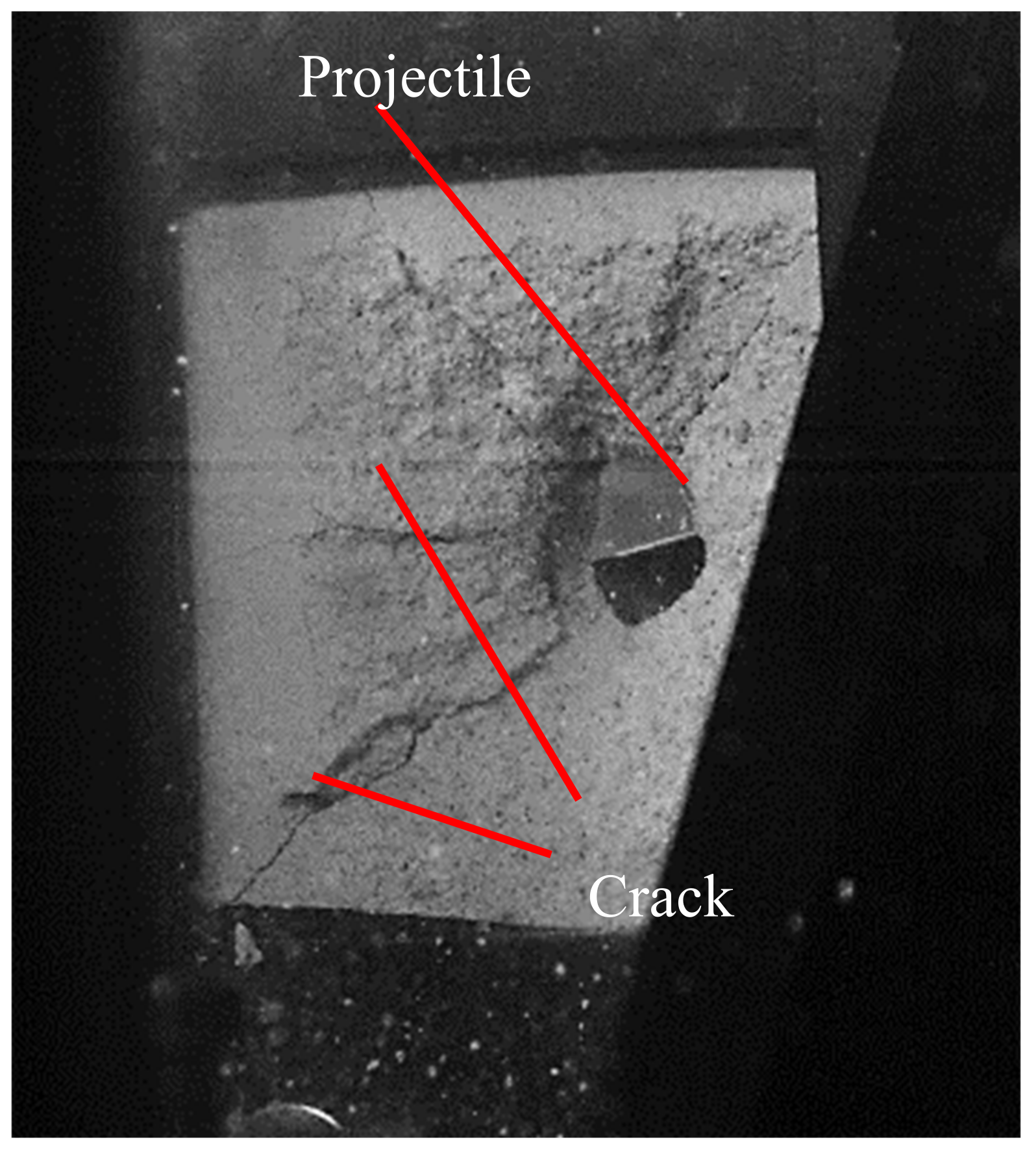 Preprints 138714 g007