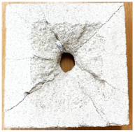 Preprints 138714 i005