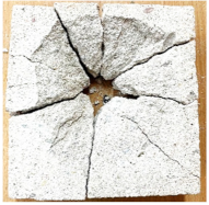 Preprints 138714 i008