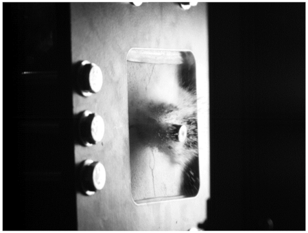 Preprints 138714 i009