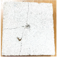 Preprints 138714 i013