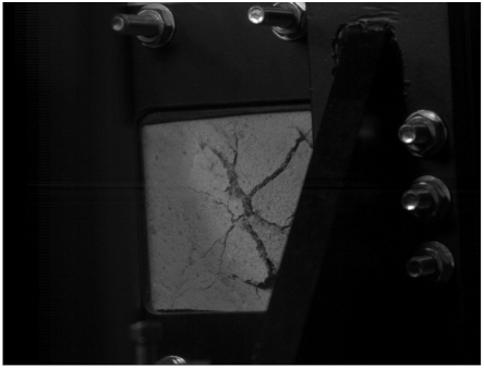 Preprints 138714 i015