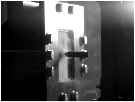 Preprints 138714 i018