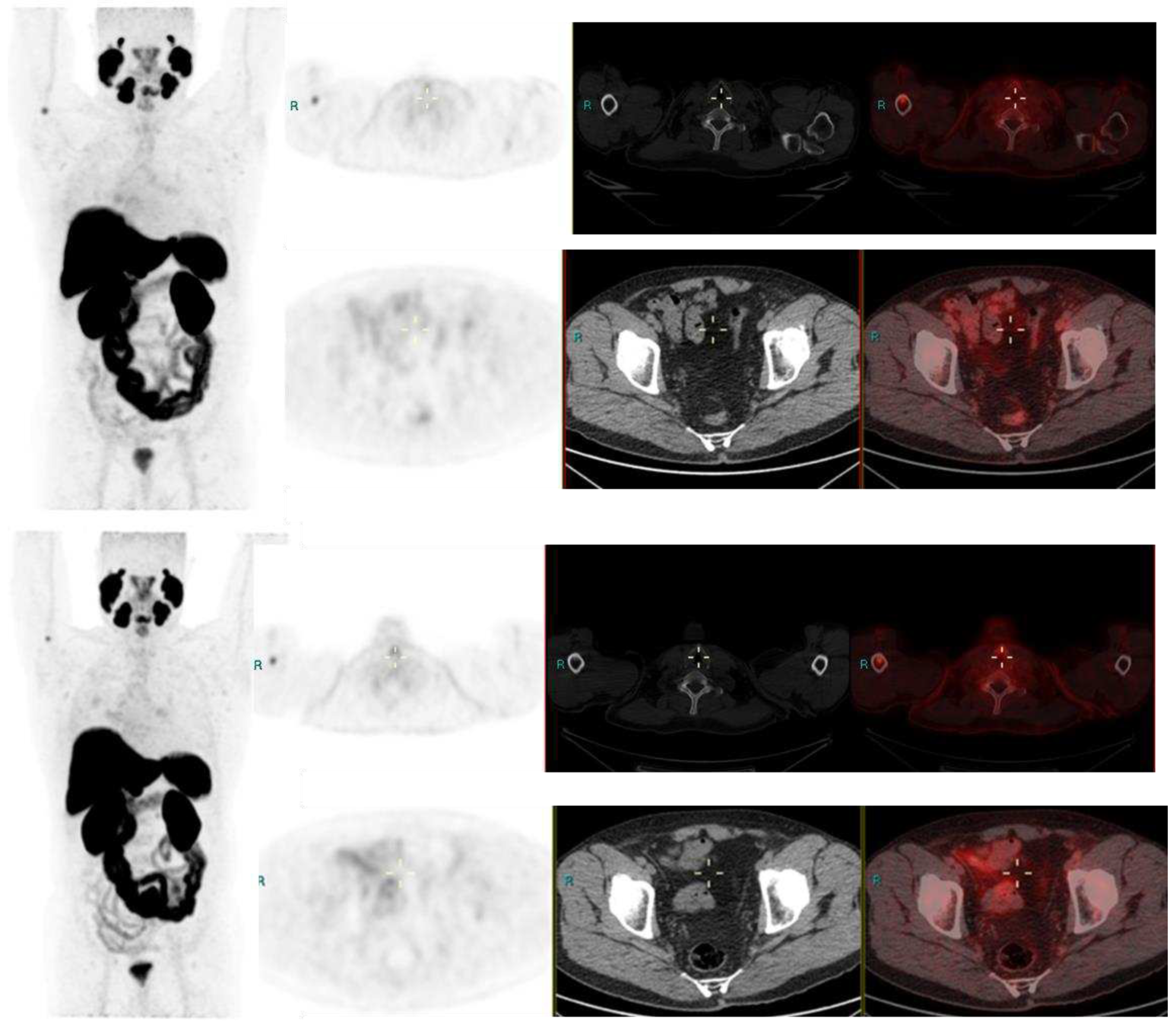 Preprints 73924 g002