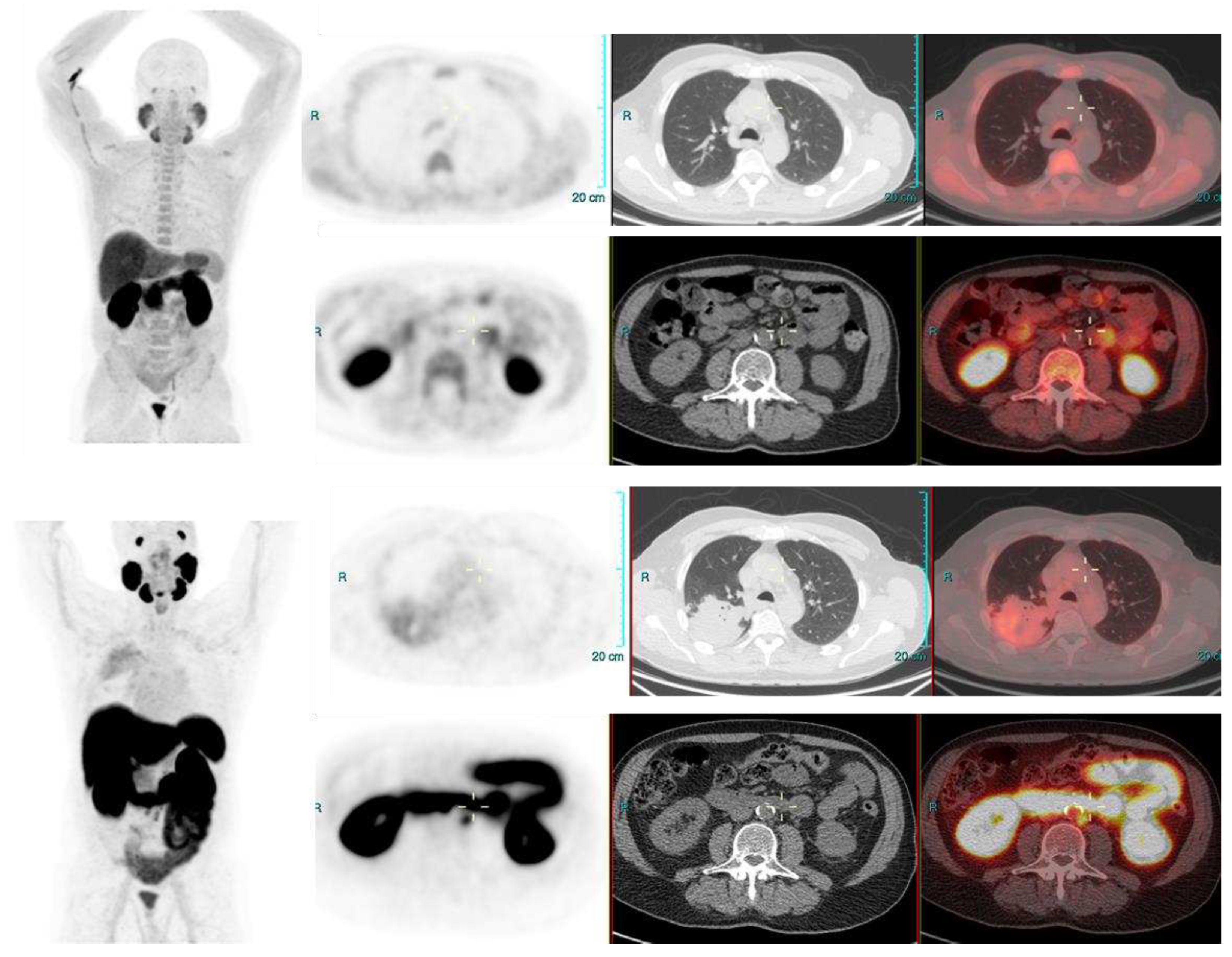 Preprints 73924 g003