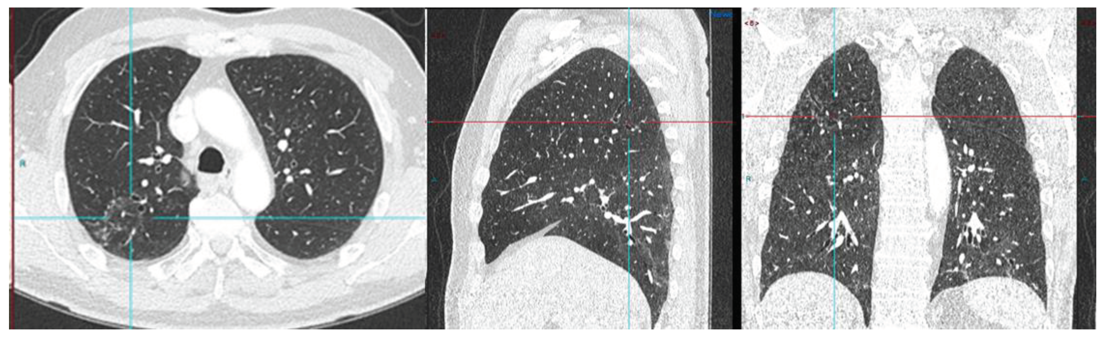 Preprints 73924 g004